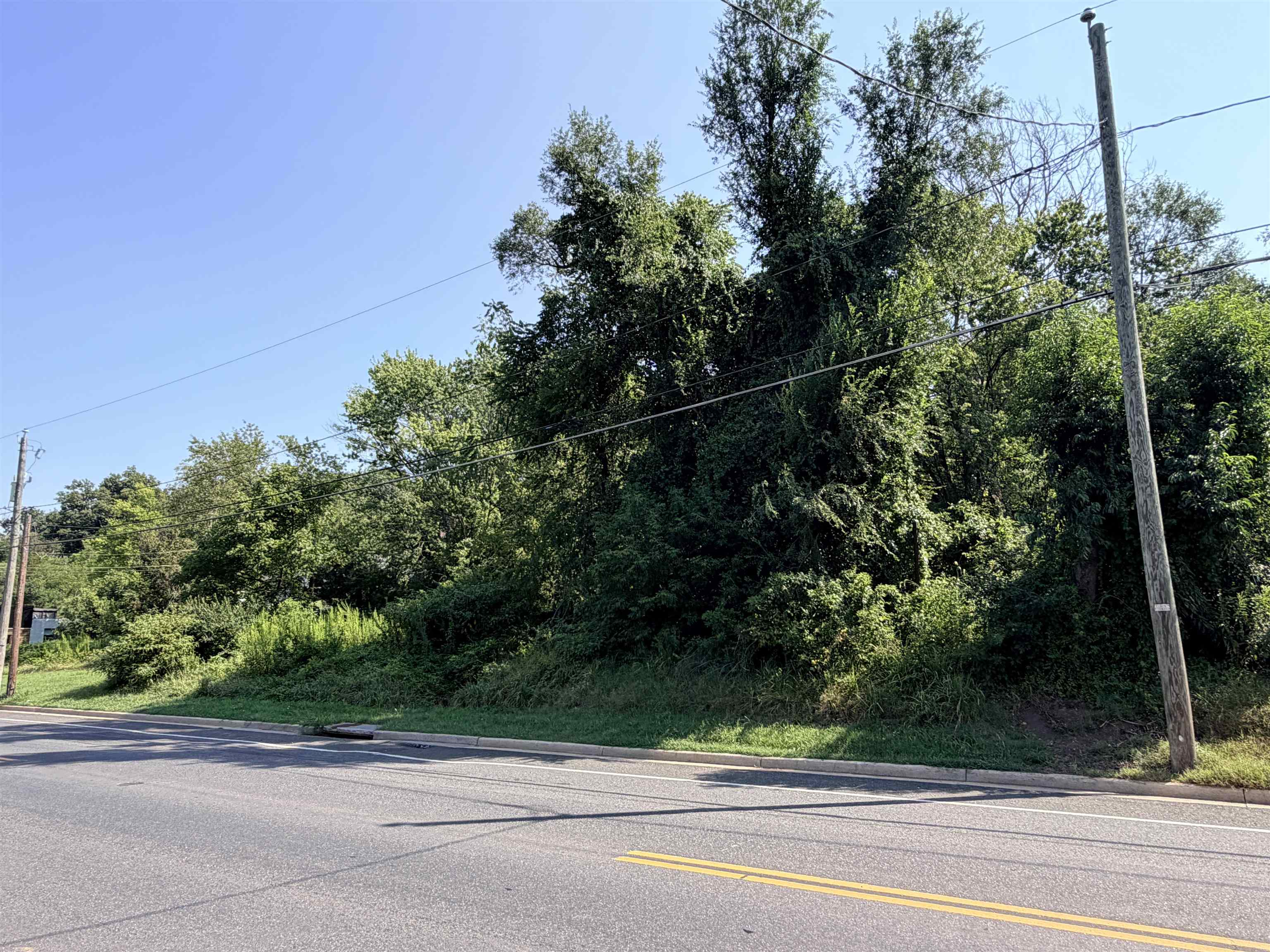 1471 E MAIN ST, WAYNESBORO, Virginia 22980, ,Land,1471 E MAIN ST,680696 MLS # 680696