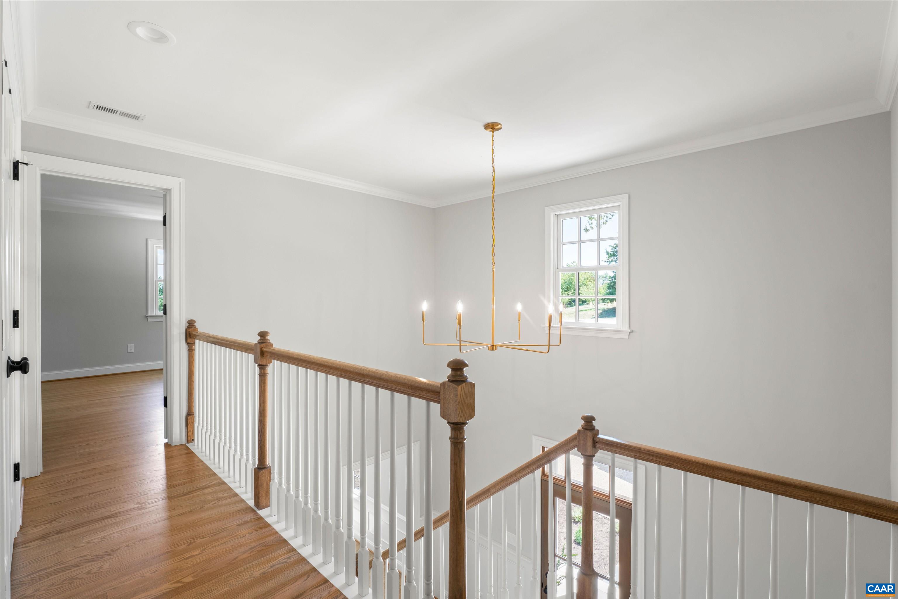 104 BEDFORD PL, CHARLOTTESVILLE, Virginia 22903, 5 Bedrooms Bedrooms, ,5 BathroomsBathrooms,Residential,Renovated+3 story addition,104 BEDFORD PL,680607 MLS # 680607