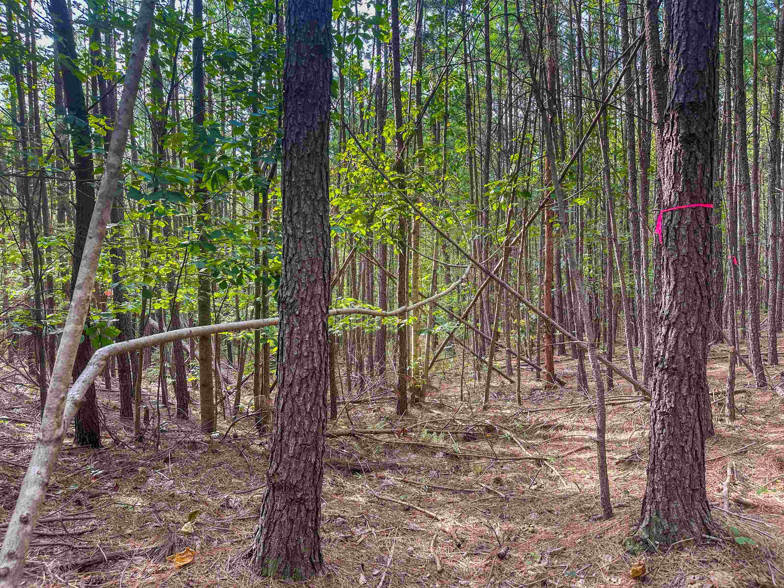 Lot C MOUNTAIN CUT RD, APPOMATTOX, Virginia 24522, ,Land,Lot C MOUNTAIN CUT RD,680726 MLS # 680726