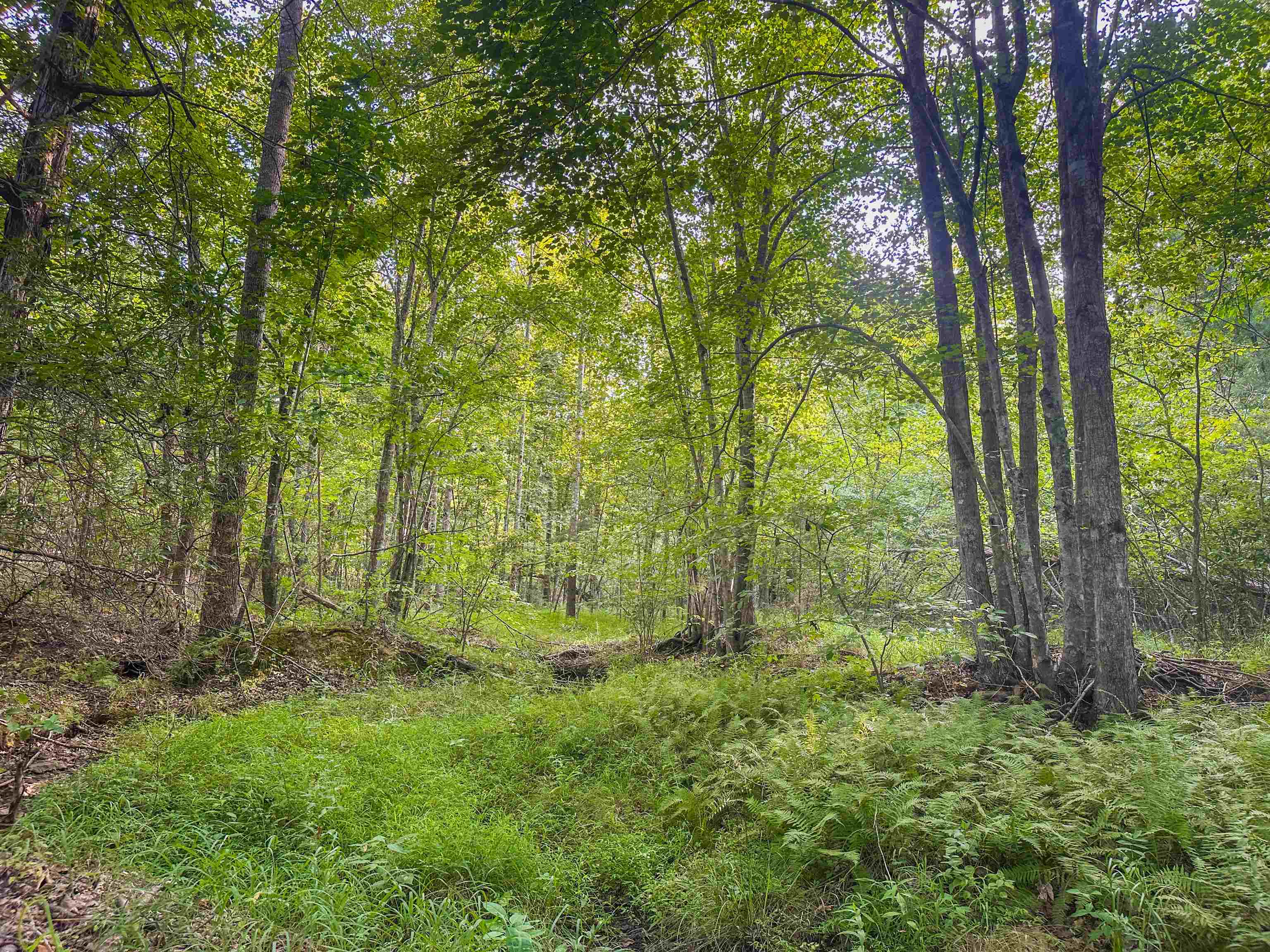 Lot C MOUNTAIN CUT RD, APPOMATTOX, Virginia 24522, ,Land,Lot C MOUNTAIN CUT RD,680726 MLS # 680726