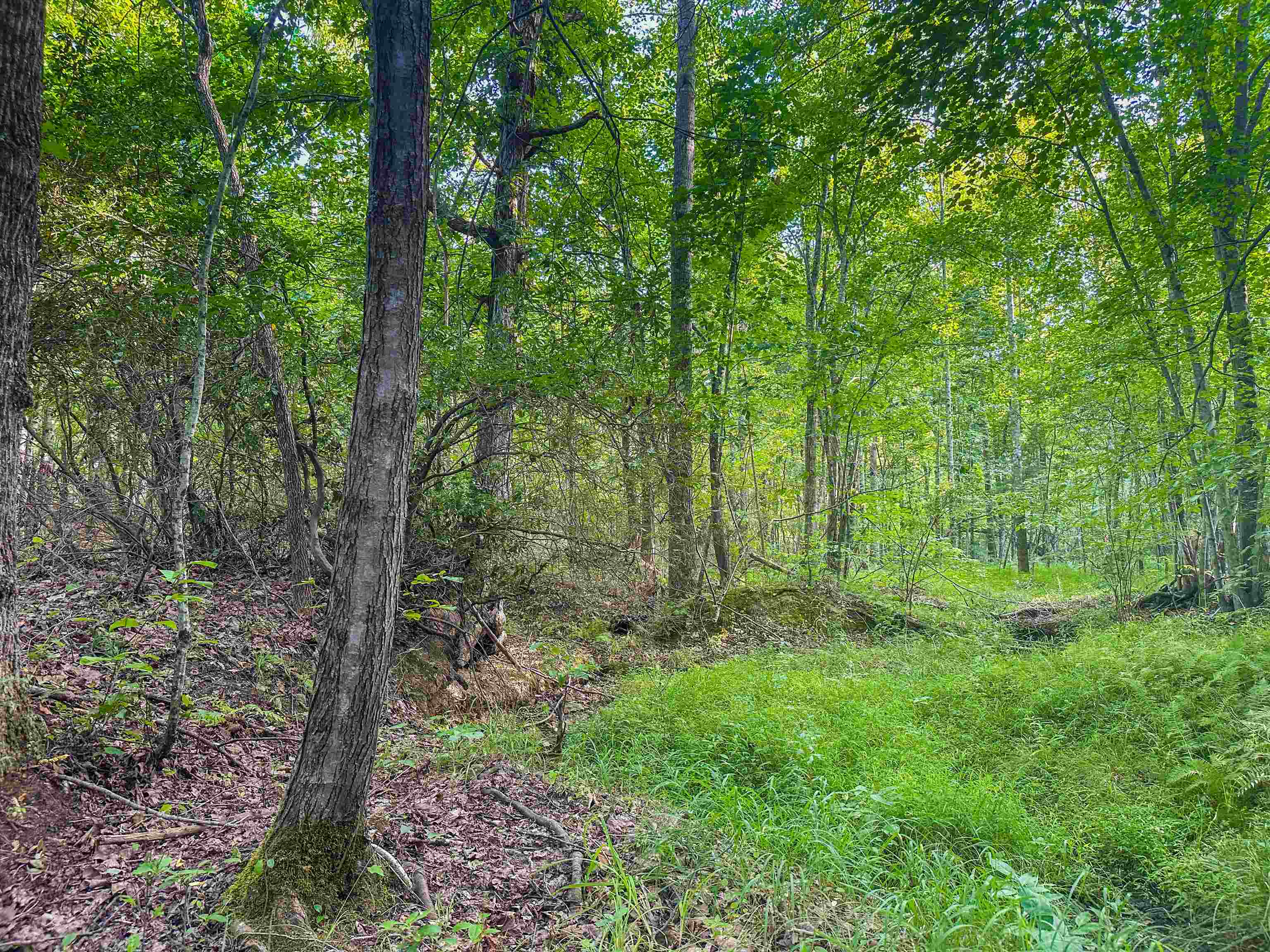 Lot C MOUNTAIN CUT RD, APPOMATTOX, Virginia 24522, ,Land,Lot C MOUNTAIN CUT RD,680726 MLS # 680726