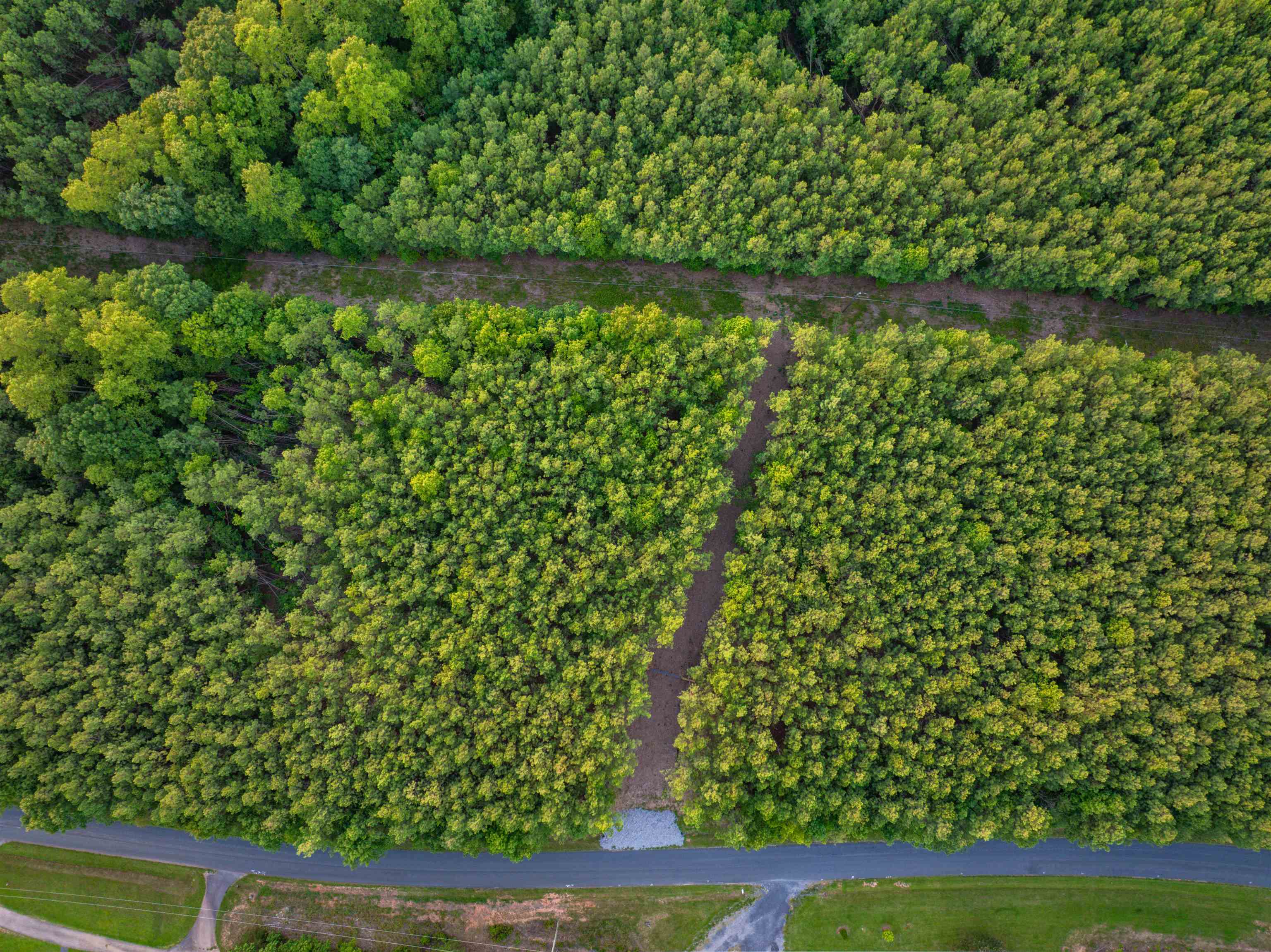 Lot C MOUNTAIN CUT RD, APPOMATTOX, Virginia 24522, ,Land,Lot C MOUNTAIN CUT RD,680726 MLS # 680726