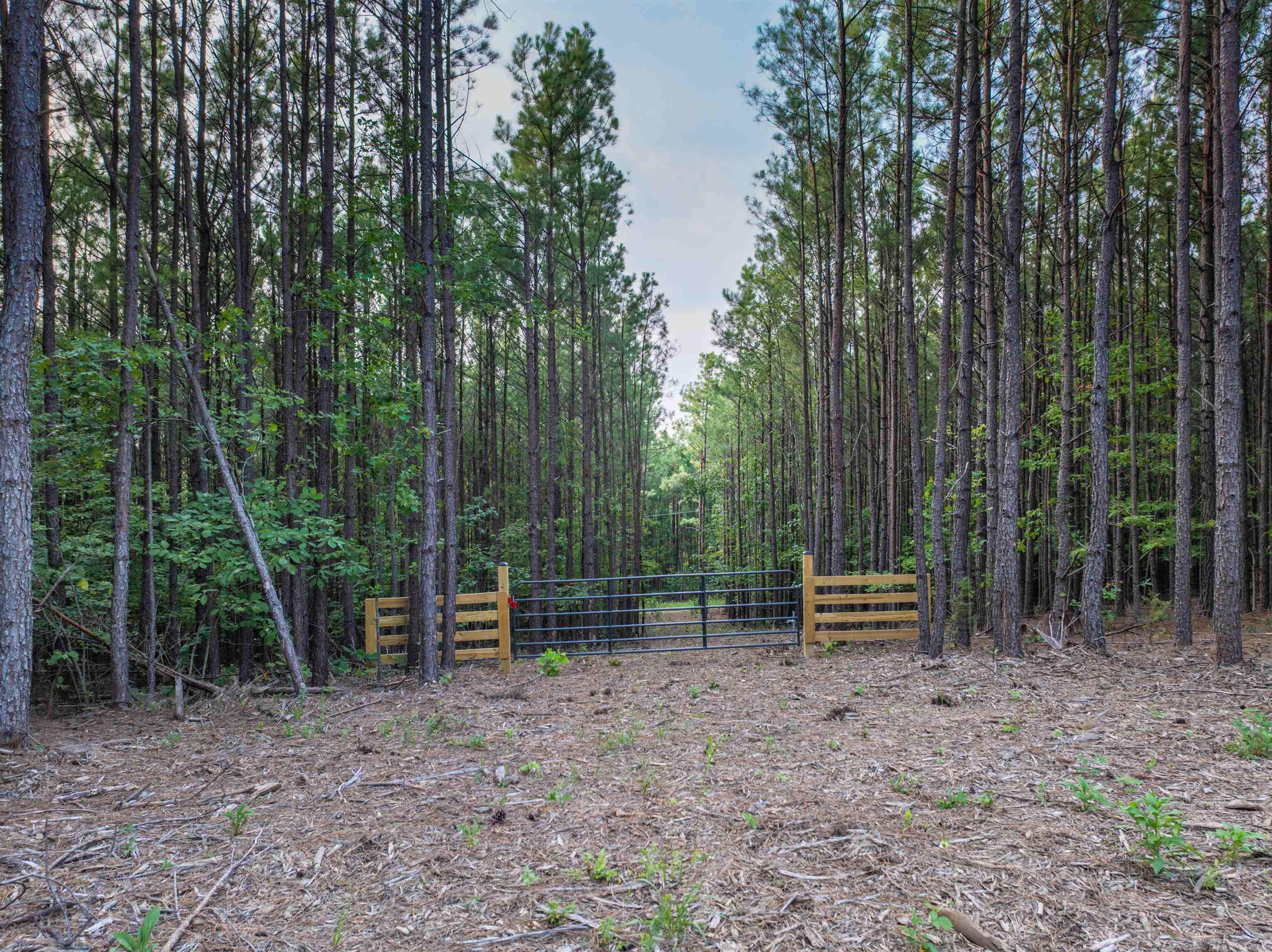 Lot C MOUNTAIN CUT RD, APPOMATTOX, Virginia 24522, ,Land,Lot C MOUNTAIN CUT RD,680726 MLS # 680726
