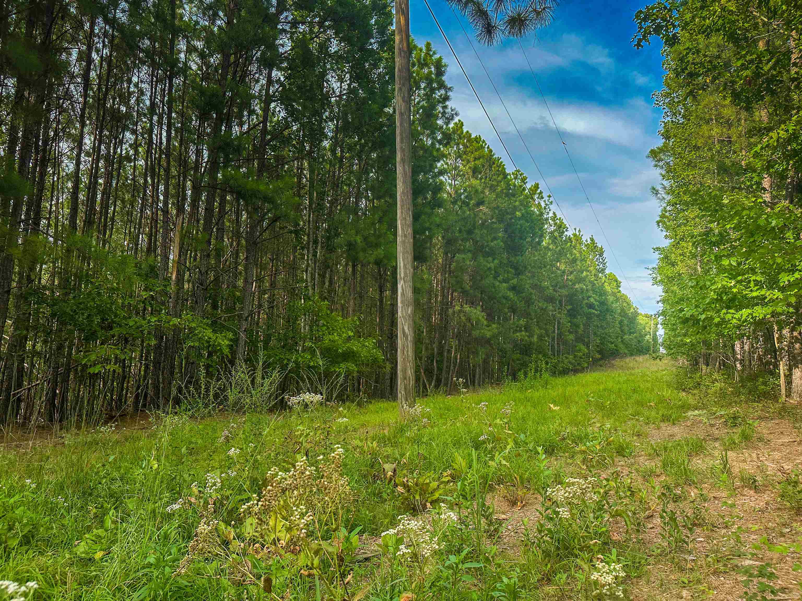 Lot C MOUNTAIN CUT RD, APPOMATTOX, Virginia 24522, ,Land,Lot C MOUNTAIN CUT RD,680726 MLS # 680726