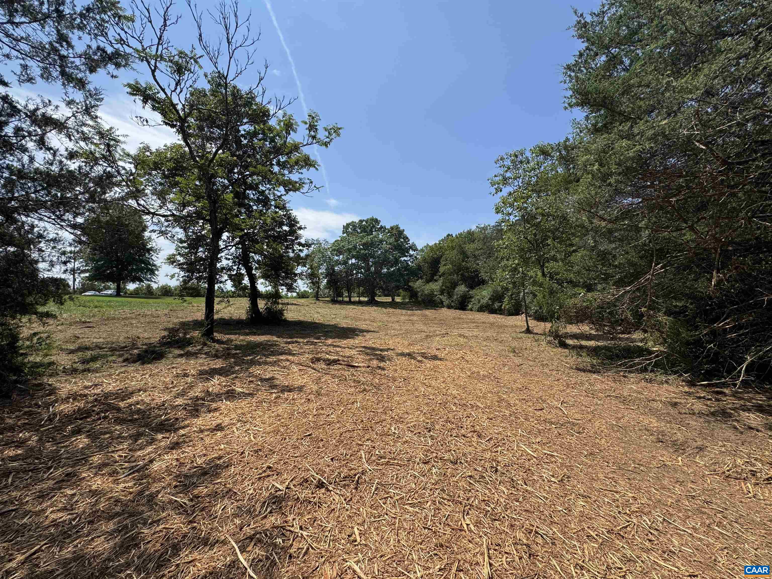 WATT ABBITT RD, APPOMATTOX, Virginia 24522, ,Land,WATT ABBITT RD,680736 MLS # 680736 WATT ABBITT RD, APPOMATTOX, Virginia 24522, ,Land,WATT ABBITT RD,680736 MLS # 680736