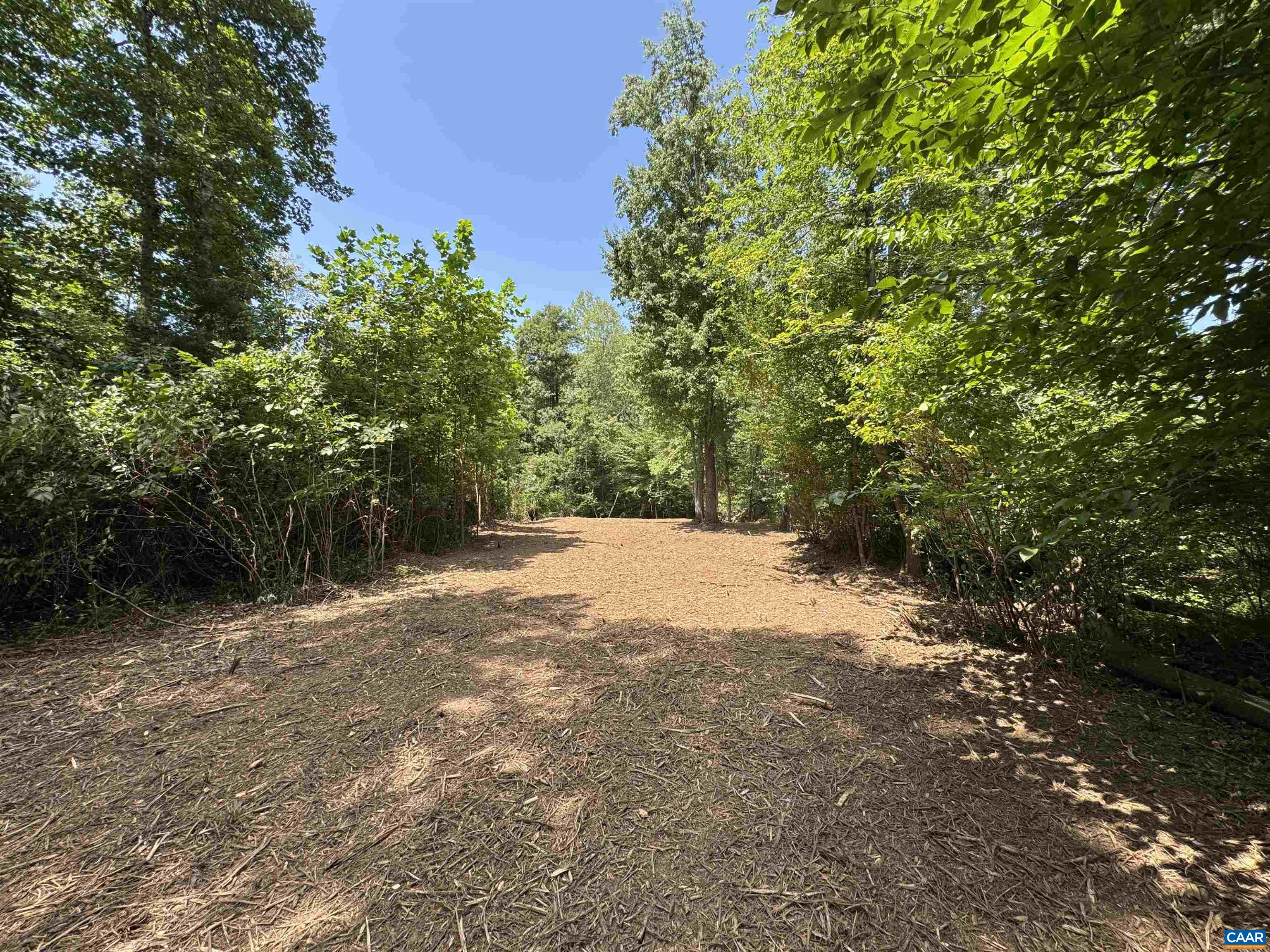 WATT ABBITT RD, APPOMATTOX, Virginia 24522, ,Land,WATT ABBITT RD,680736 MLS # 680736