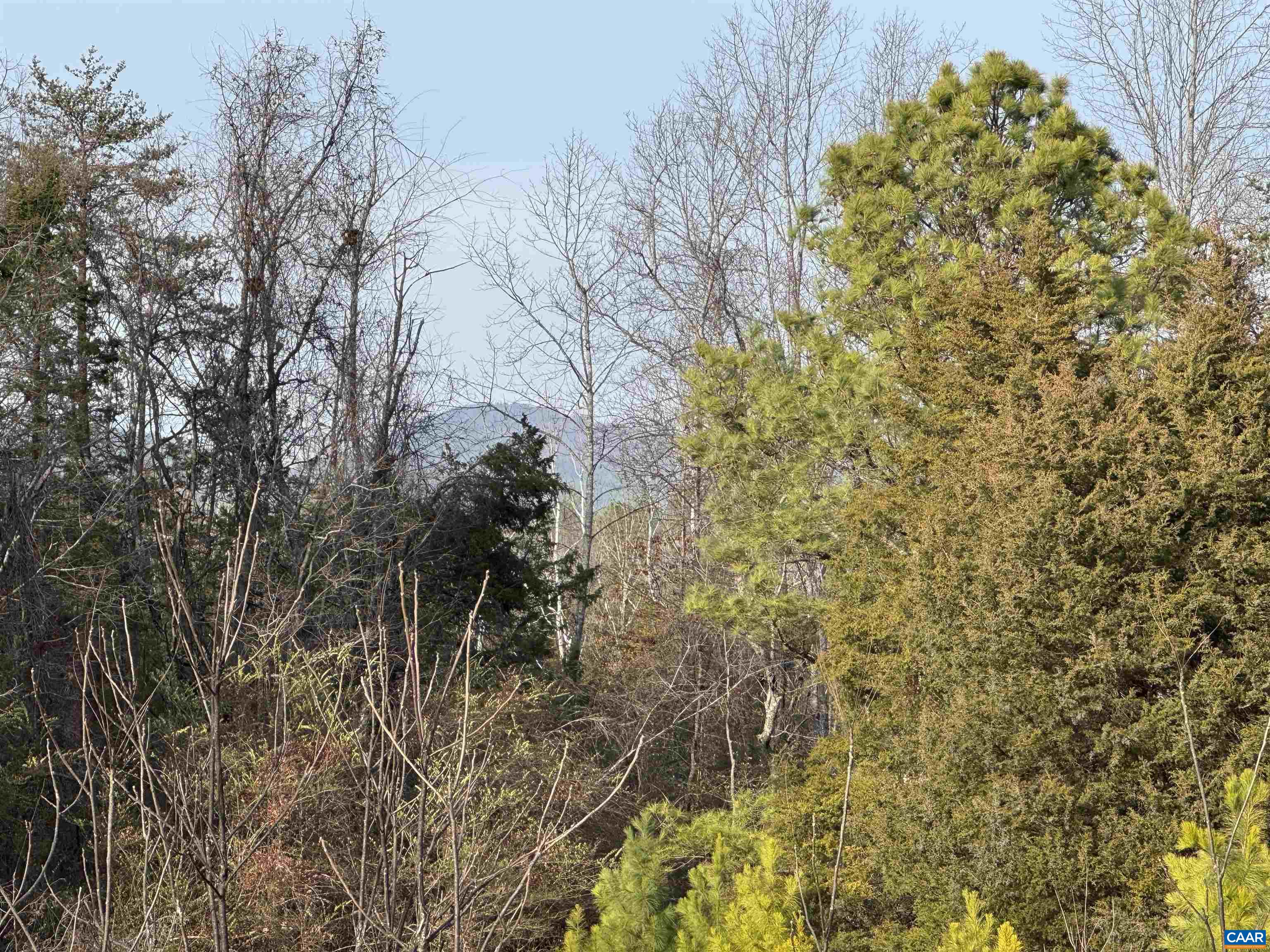 WATT ABBITT RD, APPOMATTOX, Virginia 24522, ,Land,WATT ABBITT RD,680736 MLS # 680736