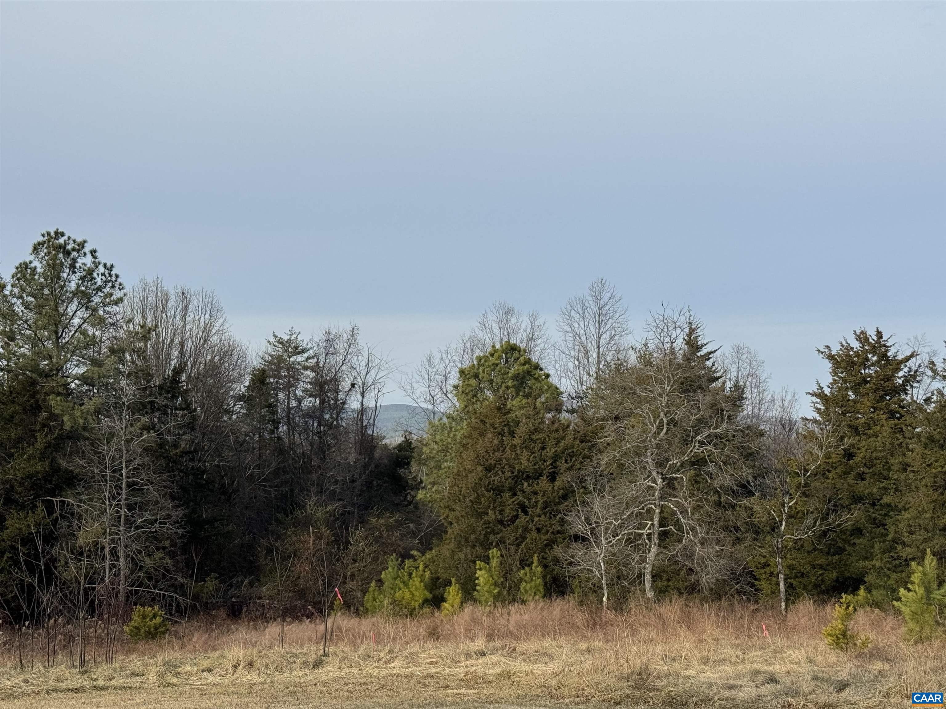 WATT ABBITT RD, APPOMATTOX, Virginia 24522, ,Land,WATT ABBITT RD,680736 MLS # 680736