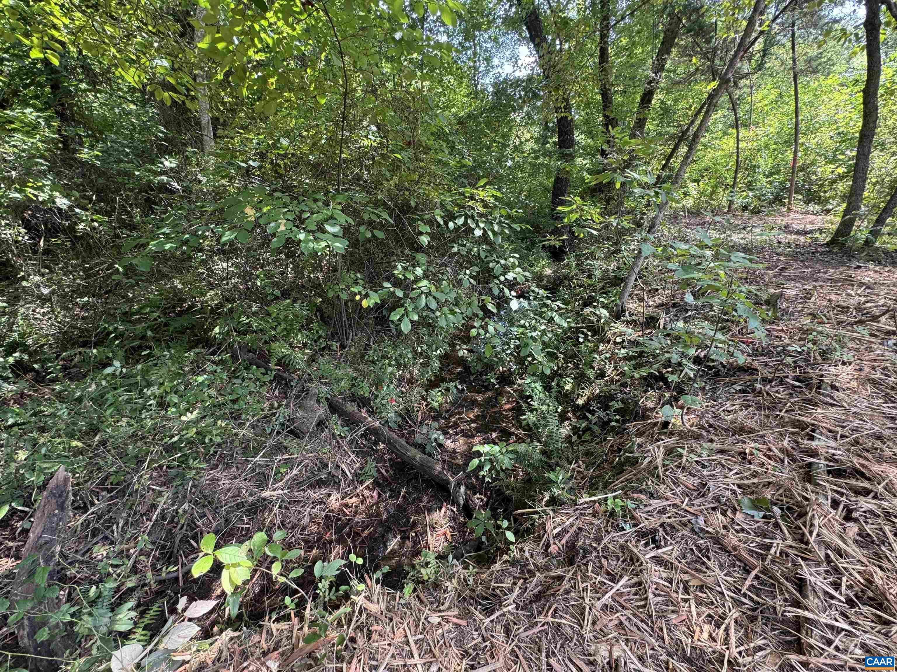 WATT ABBITT RD, APPOMATTOX, Virginia 24522, ,Land,WATT ABBITT RD,680736 MLS # 680736