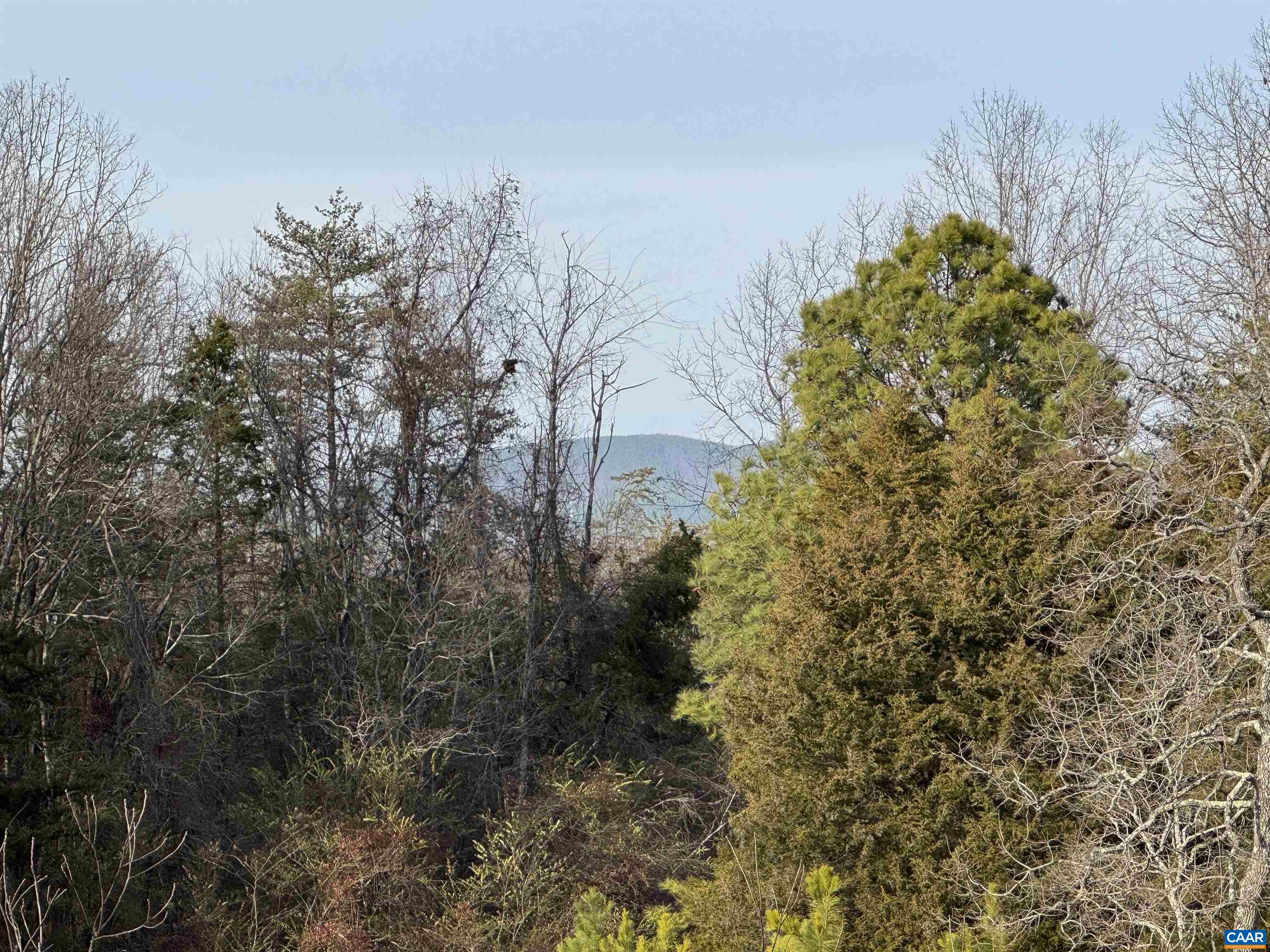 WATT ABBITT RD, APPOMATTOX, Virginia 24522, ,Land,WATT ABBITT RD,680736 MLS # 680736