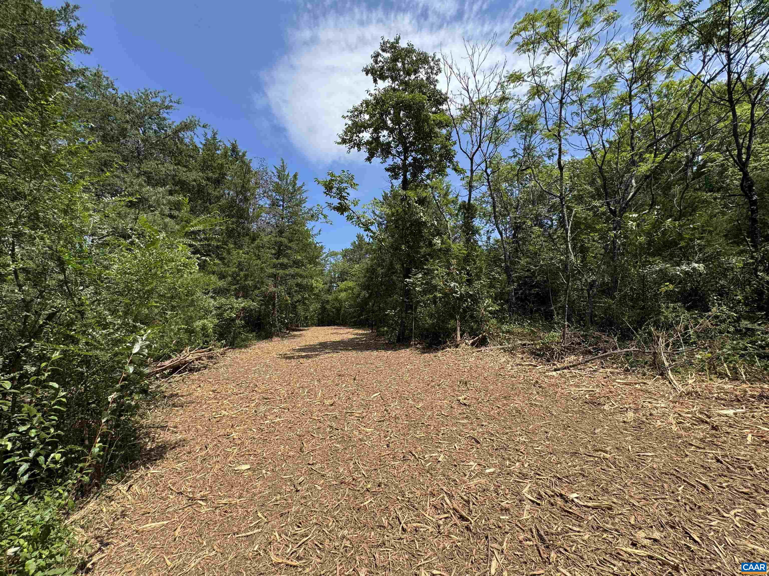 WATT ABBITT RD, APPOMATTOX, Virginia 24522, ,Land,WATT ABBITT RD,680736 MLS # 680736