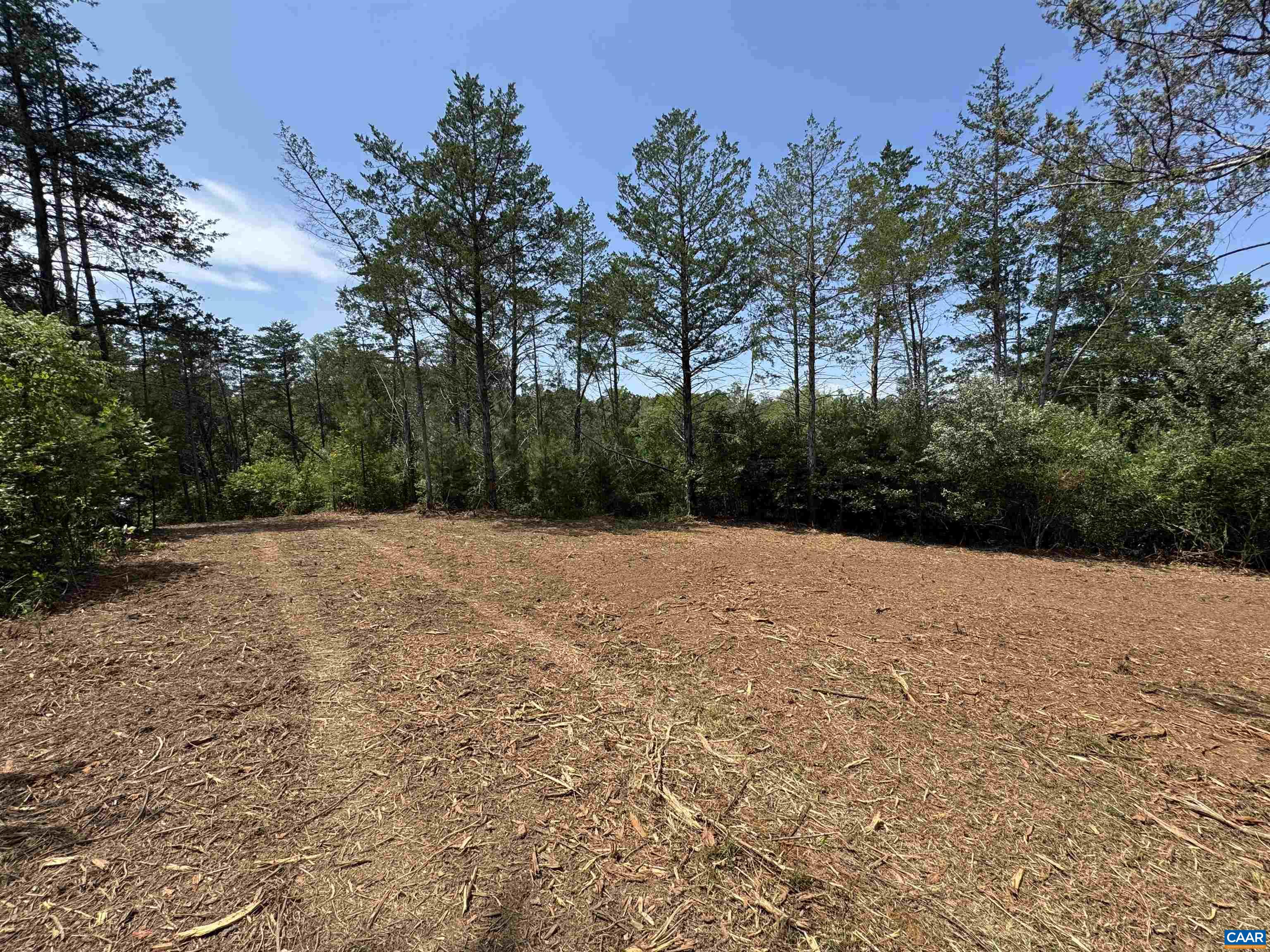 WATT ABBITT RD, APPOMATTOX, Virginia 24522, ,Land,WATT ABBITT RD,680736 MLS # 680736