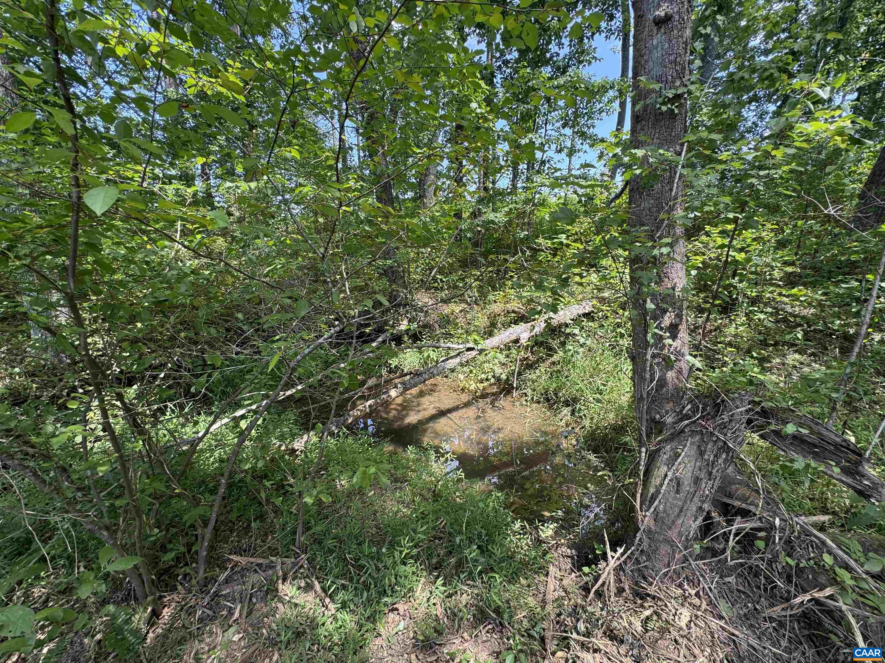 WATT ABBITT RD, APPOMATTOX, Virginia 24522, ,Land,WATT ABBITT RD,680736 MLS # 680736