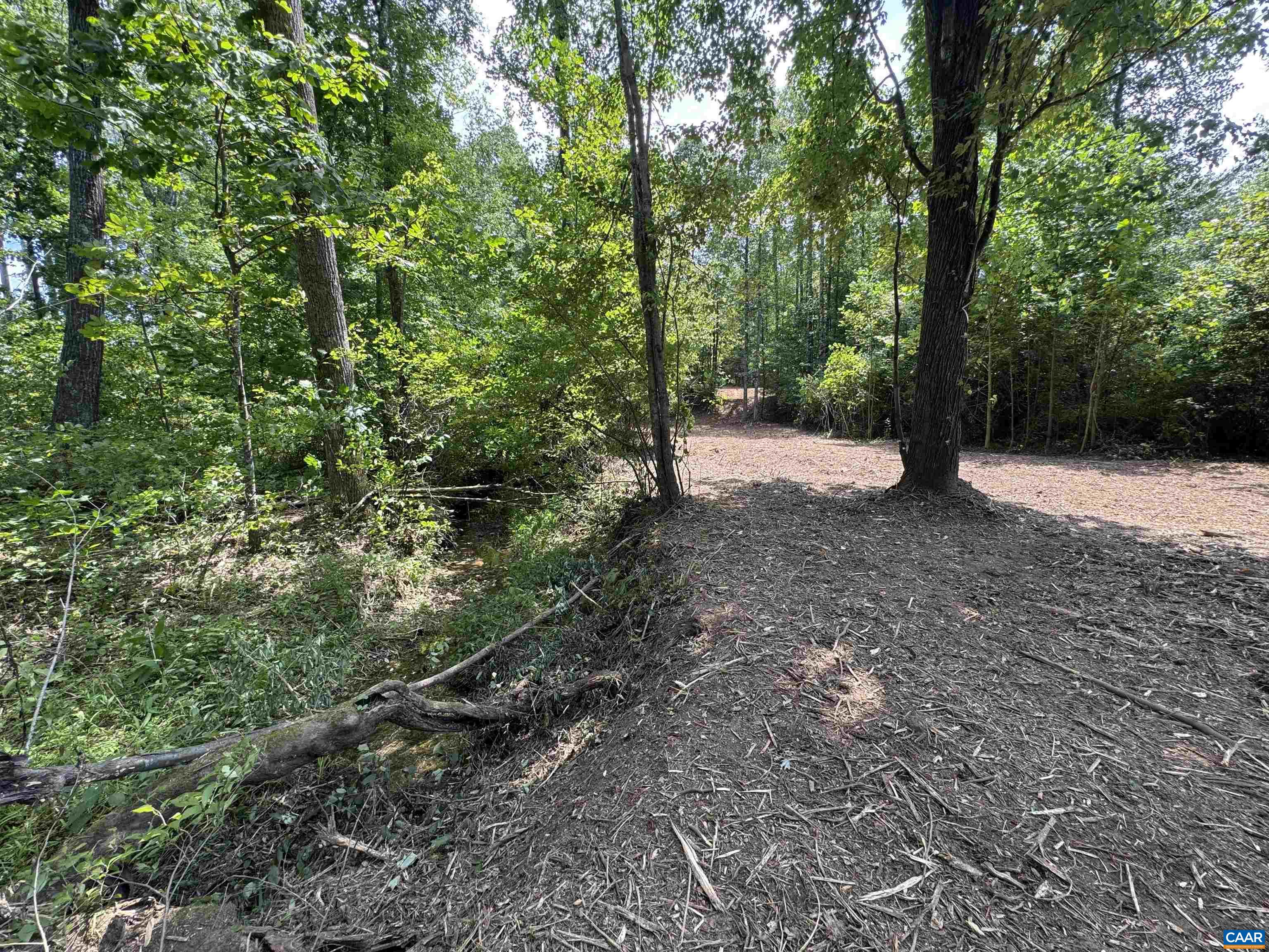 WATT ABBITT RD, APPOMATTOX, Virginia 24522, ,Land,WATT ABBITT RD,680736 MLS # 680736