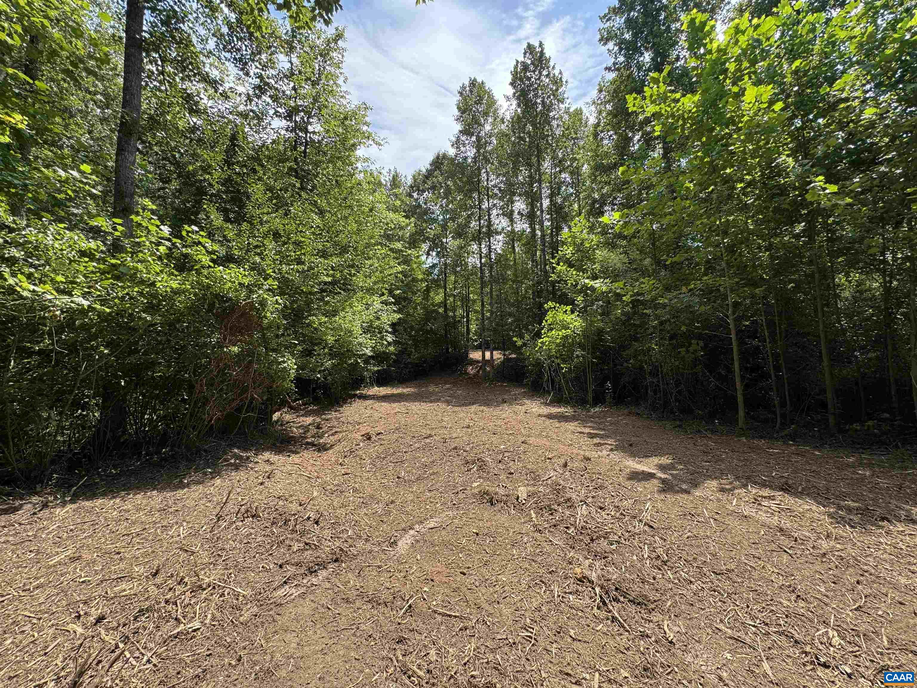 WATT ABBITT RD, APPOMATTOX, Virginia 24522, ,Land,WATT ABBITT RD,680736 MLS # 680736