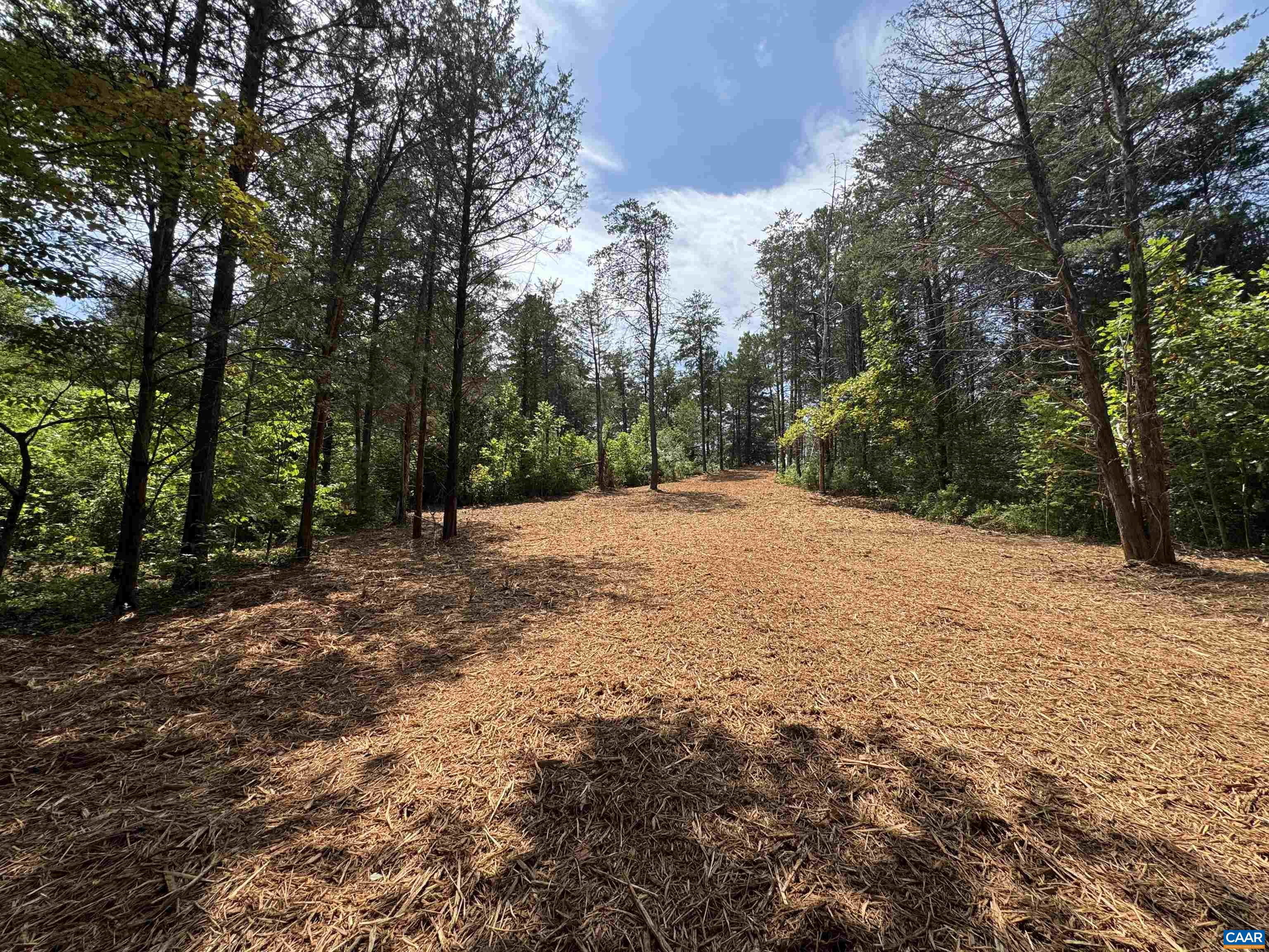 WATT ABBITT RD, APPOMATTOX, Virginia 24522, ,Land,WATT ABBITT RD,680736 MLS # 680736