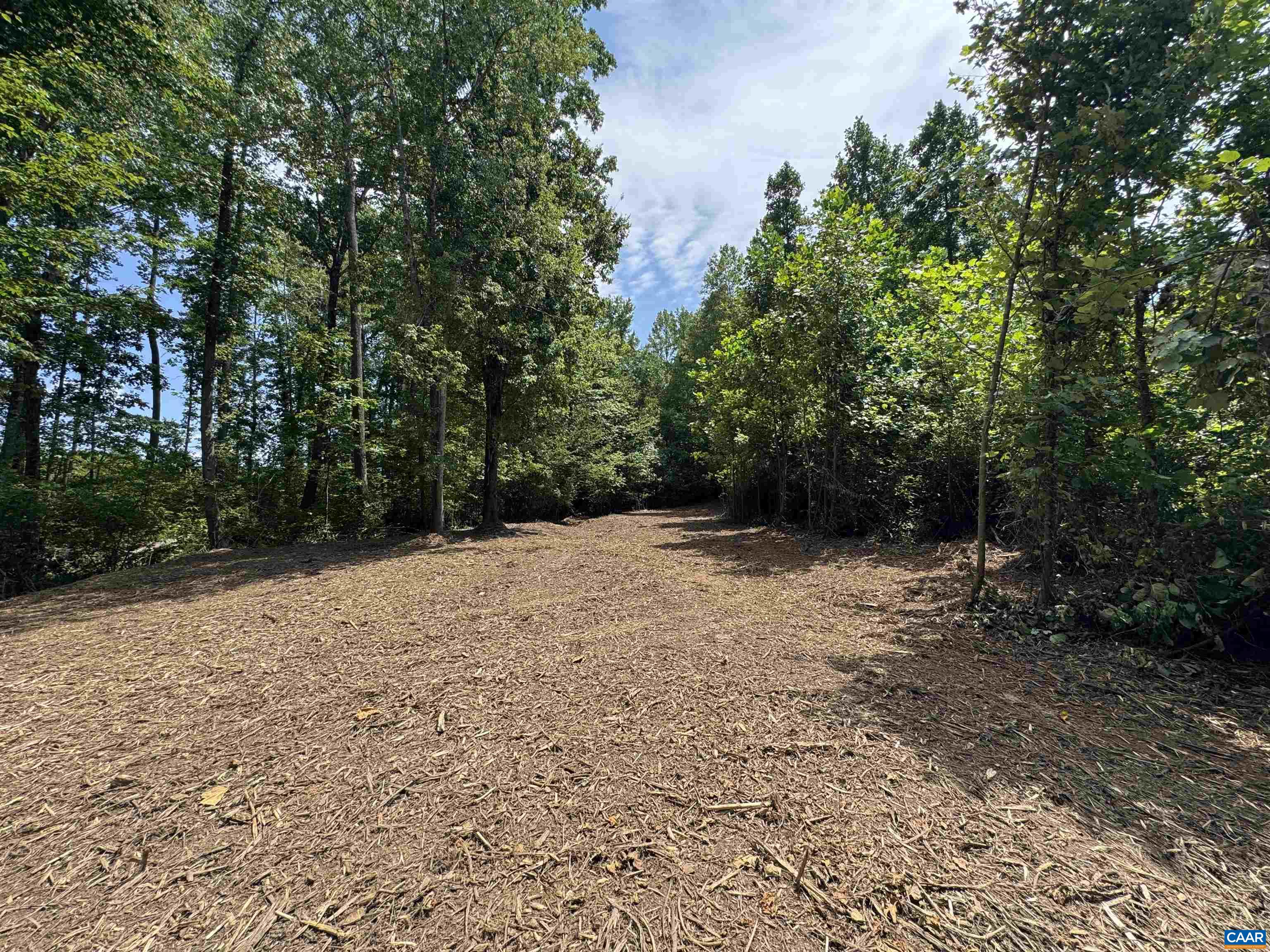 WATT ABBITT RD, APPOMATTOX, Virginia 24522, ,Land,WATT ABBITT RD,680736 MLS # 680736