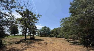 WATT ABBITT RD, APPOMATTOX, Virginia 24522, ,Land,WATT ABBITT RD,680736 MLS # 680736