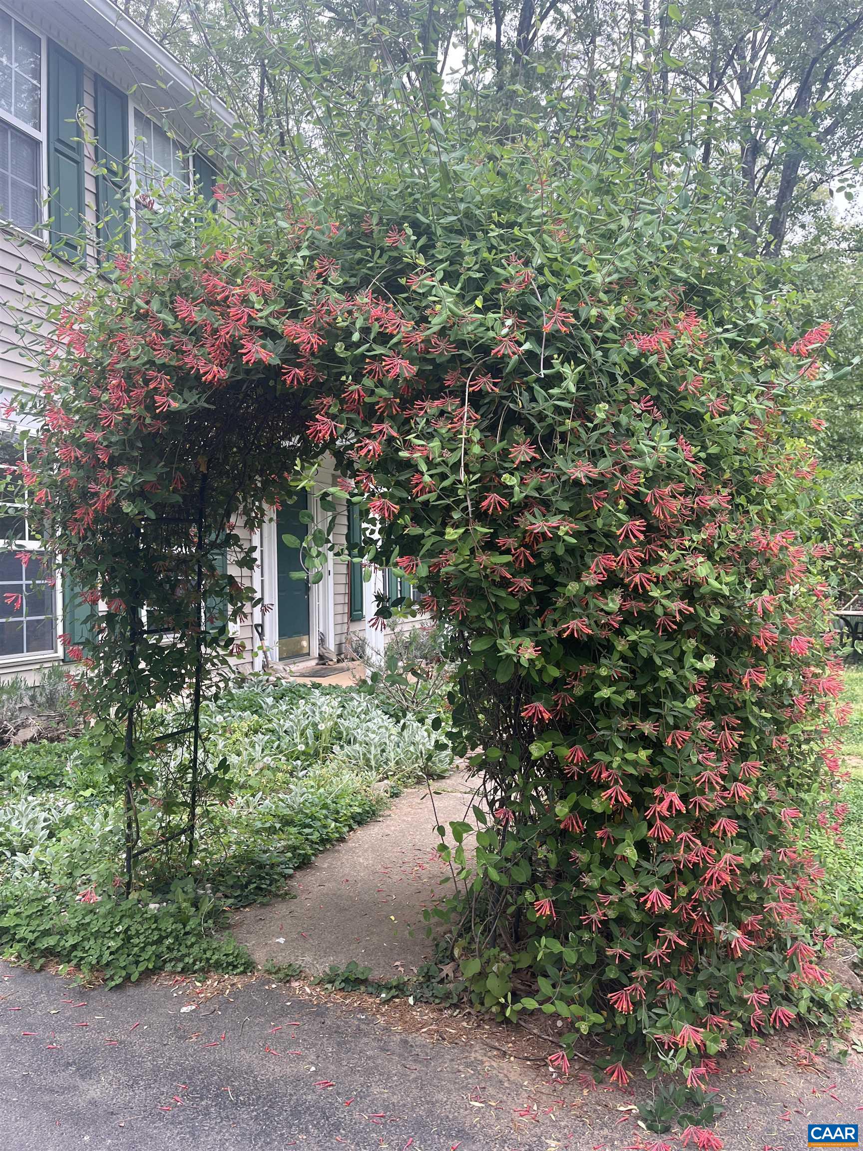 57 SUNRISE LN, RUCKERSVILLE, Virginia 22968, 3 Bedrooms Bedrooms, ,2 BathroomsBathrooms,Residential,57 SUNRISE LN,680706 MLS # 680706