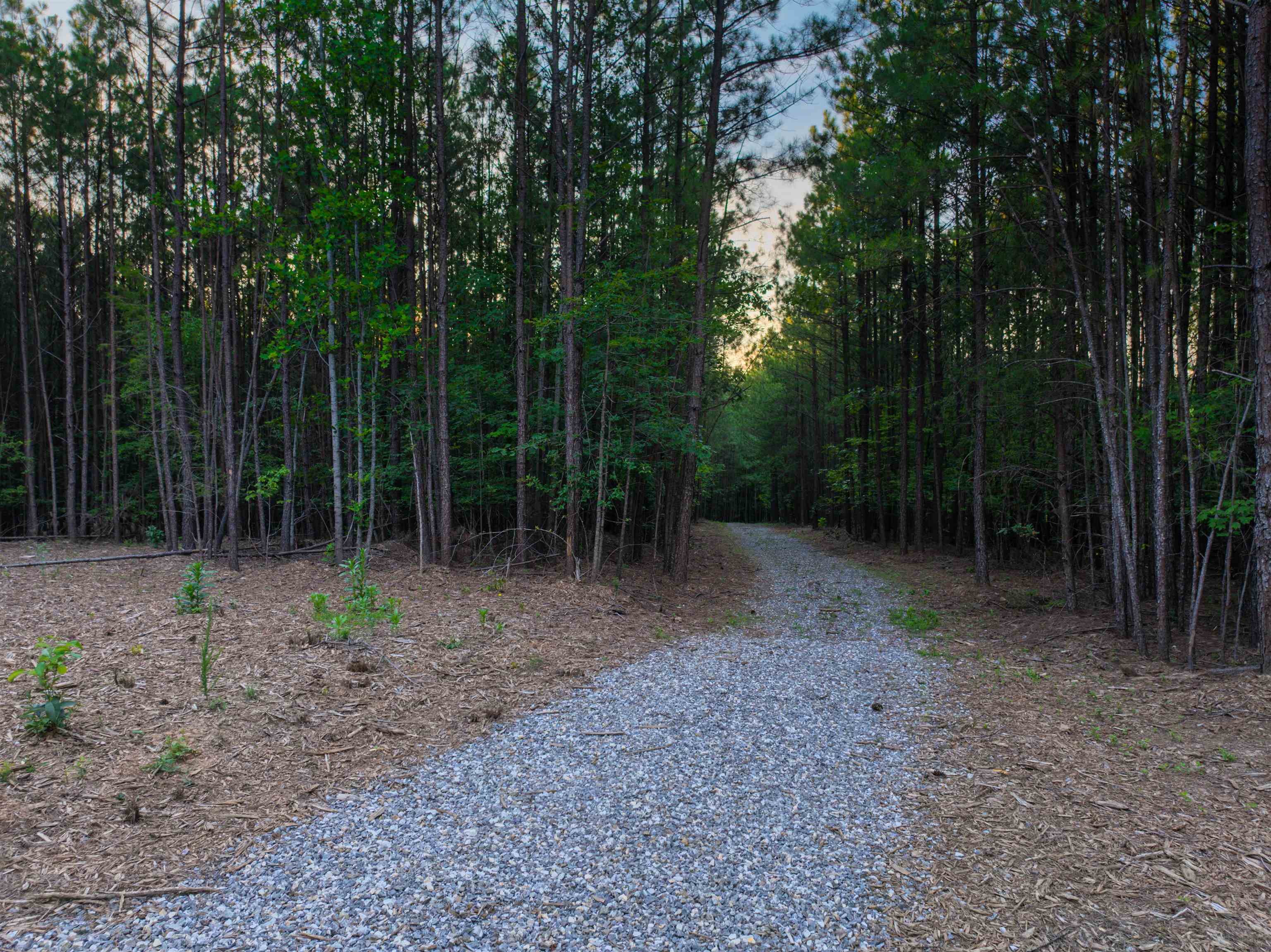 Lot B MOUNTAIN CUT RD, APPOMATTOX, Virginia 24522, ,Land,Lot B MOUNTAIN CUT RD,680745 MLS # 680745