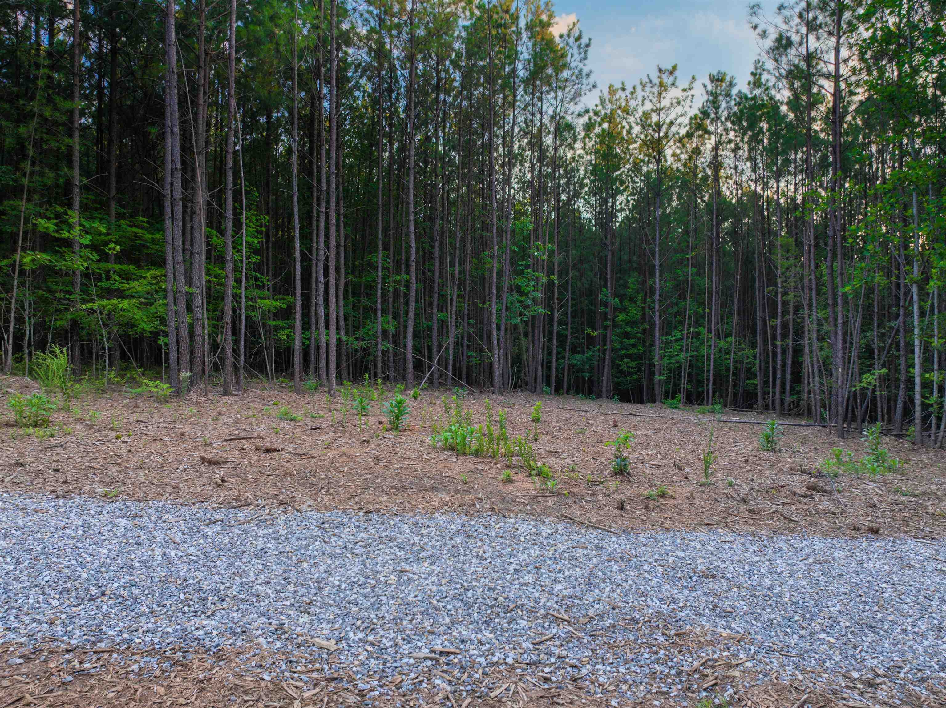 Lot B MOUNTAIN CUT RD, APPOMATTOX, Virginia 24522, ,Land,Lot B MOUNTAIN CUT RD,680745 MLS # 680745