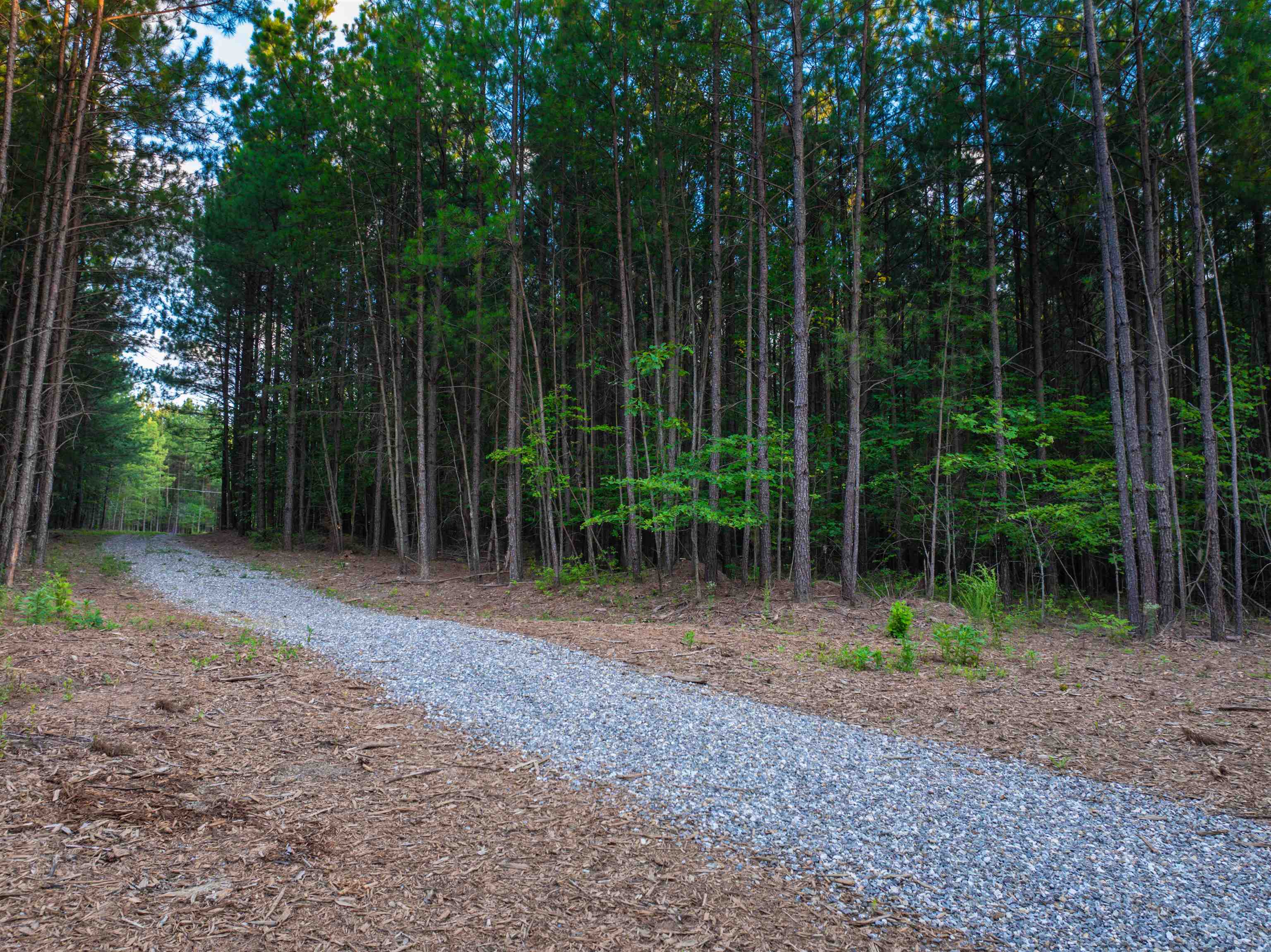 Lot B MOUNTAIN CUT RD, APPOMATTOX, Virginia 24522, ,Land,Lot B MOUNTAIN CUT RD,680745 MLS # 680745