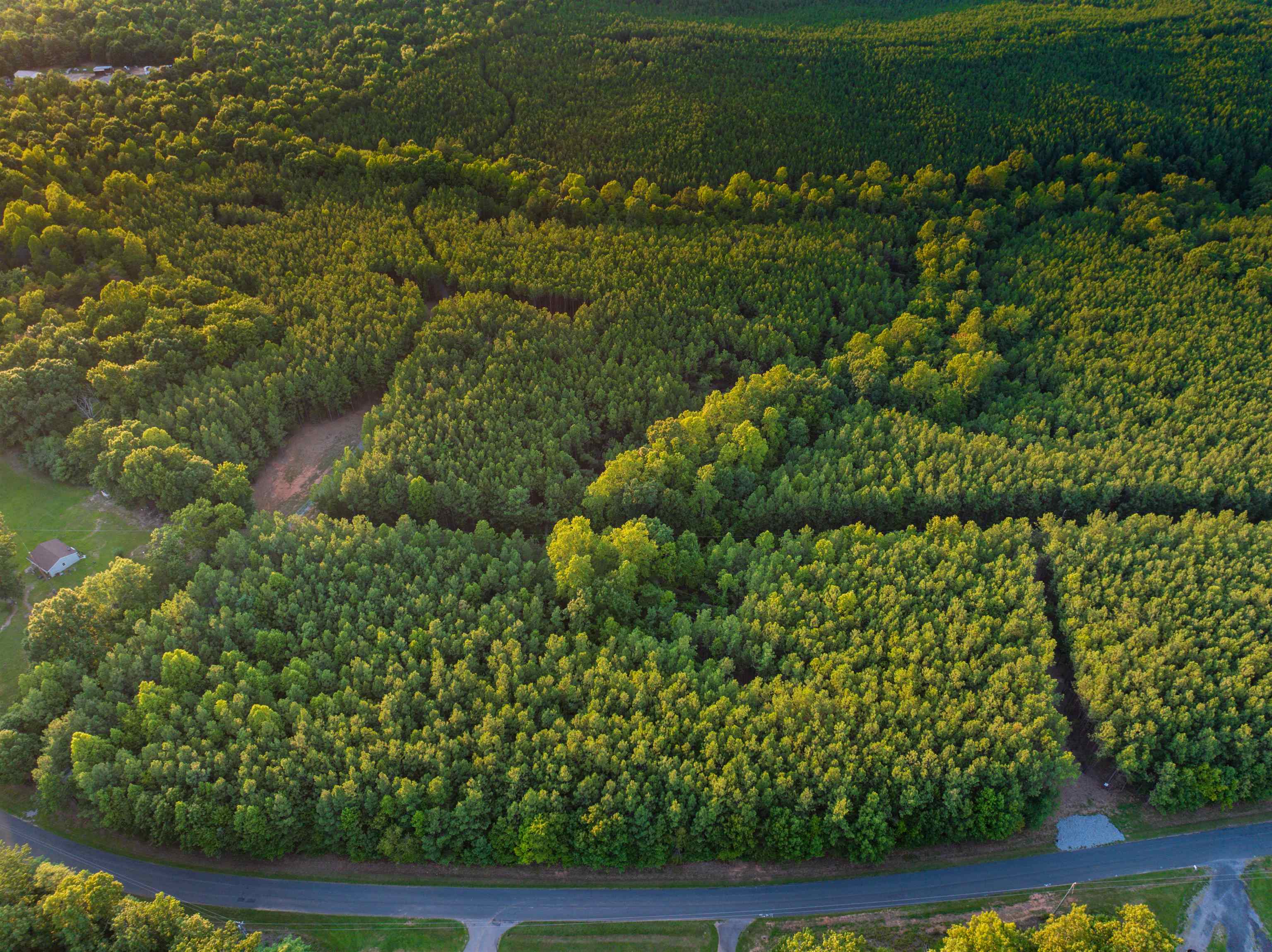 Lot B MOUNTAIN CUT RD, APPOMATTOX, Virginia 24522, ,Land,Lot B MOUNTAIN CUT RD,680745 MLS # 680745