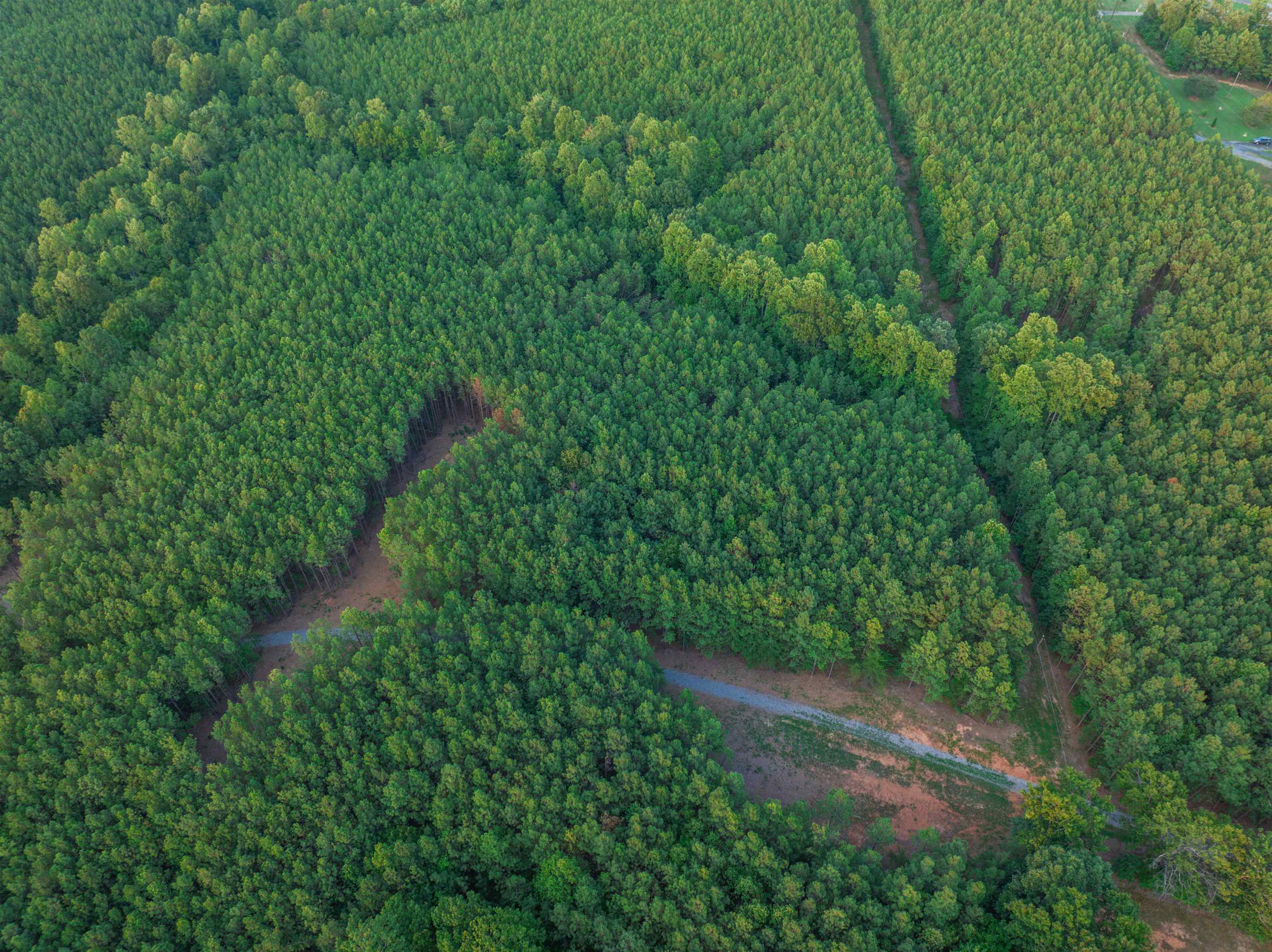 Lot B MOUNTAIN CUT RD, APPOMATTOX, Virginia 24522, ,Land,Lot B MOUNTAIN CUT RD,680745 MLS # 680745