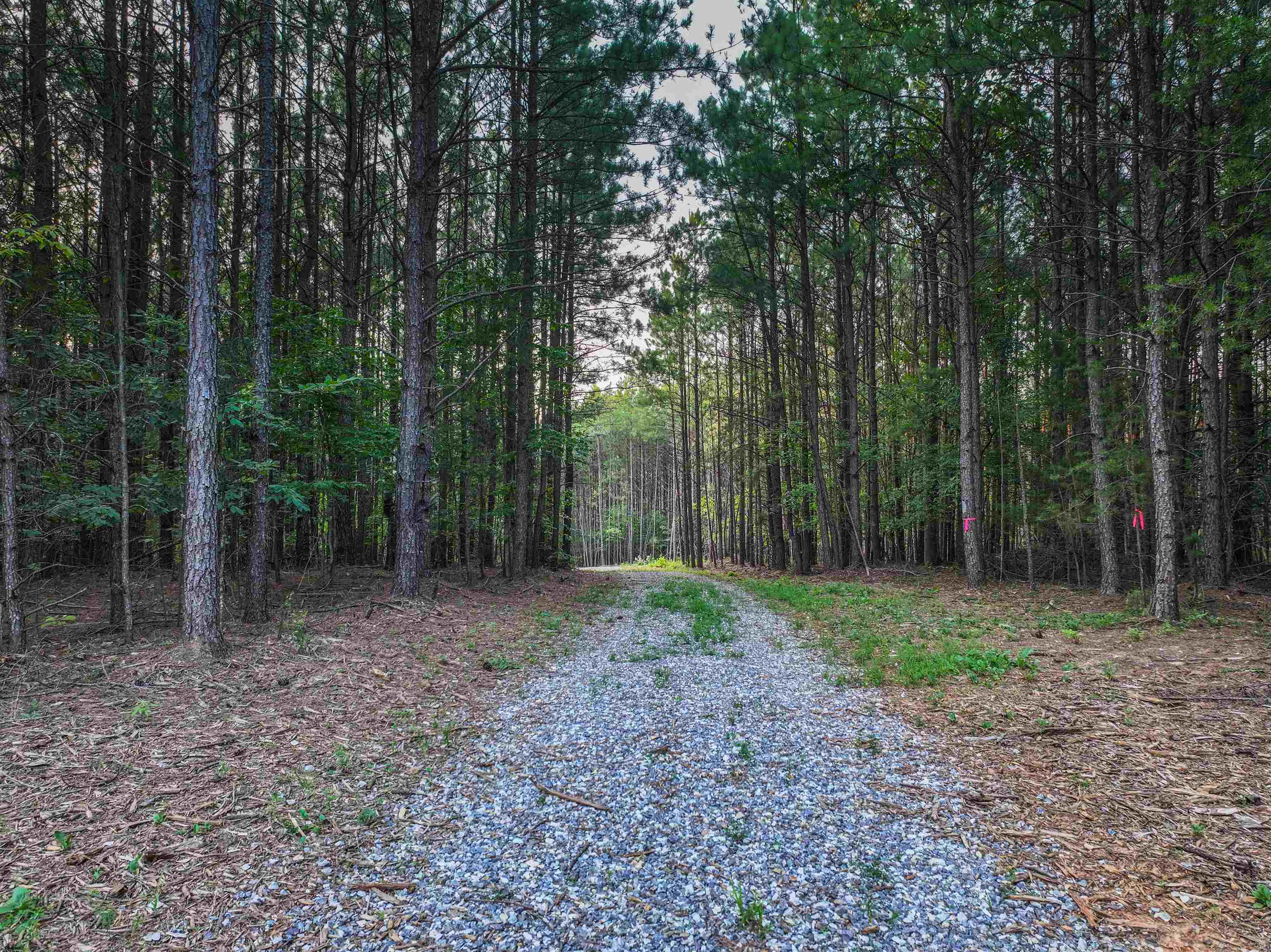 Lot B MOUNTAIN CUT RD, APPOMATTOX, Virginia 24522, ,Land,Lot B MOUNTAIN CUT RD,680745 MLS # 680745