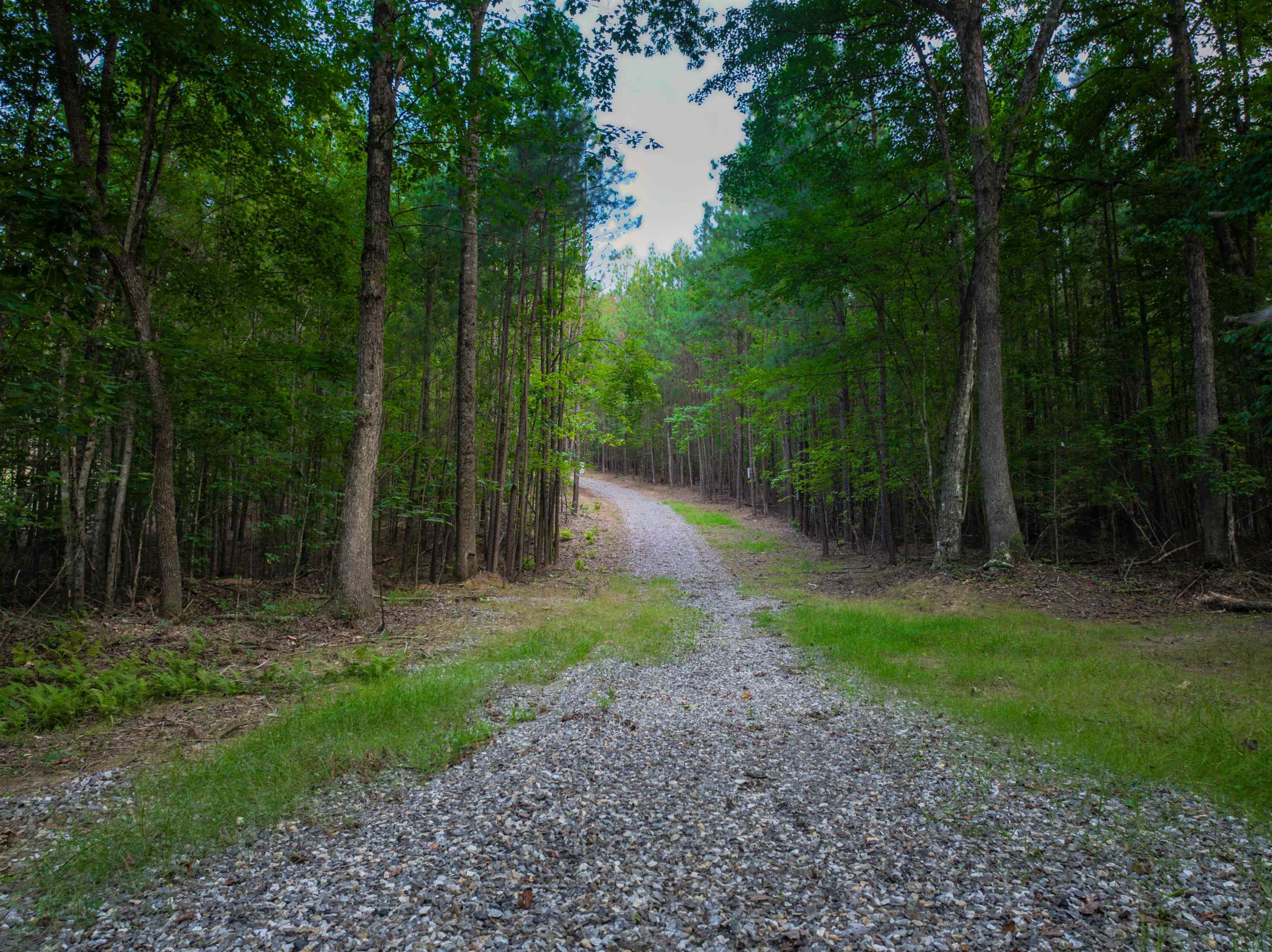 Lot B MOUNTAIN CUT RD, APPOMATTOX, Virginia 24522, ,Land,Lot B MOUNTAIN CUT RD,680745 MLS # 680745