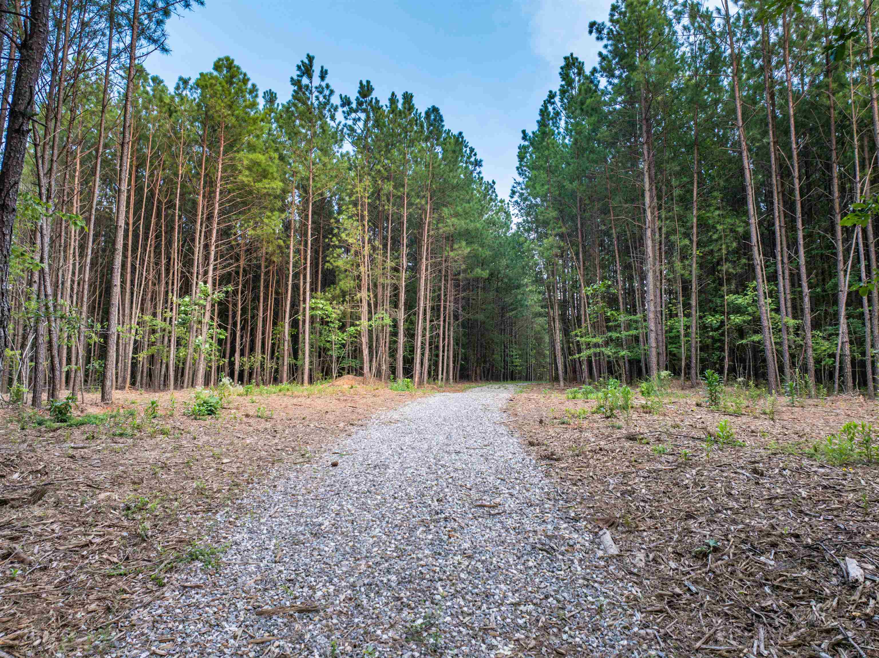 Lot B MOUNTAIN CUT RD, APPOMATTOX, Virginia 24522, ,Land,Lot B MOUNTAIN CUT RD,680745 MLS # 680745