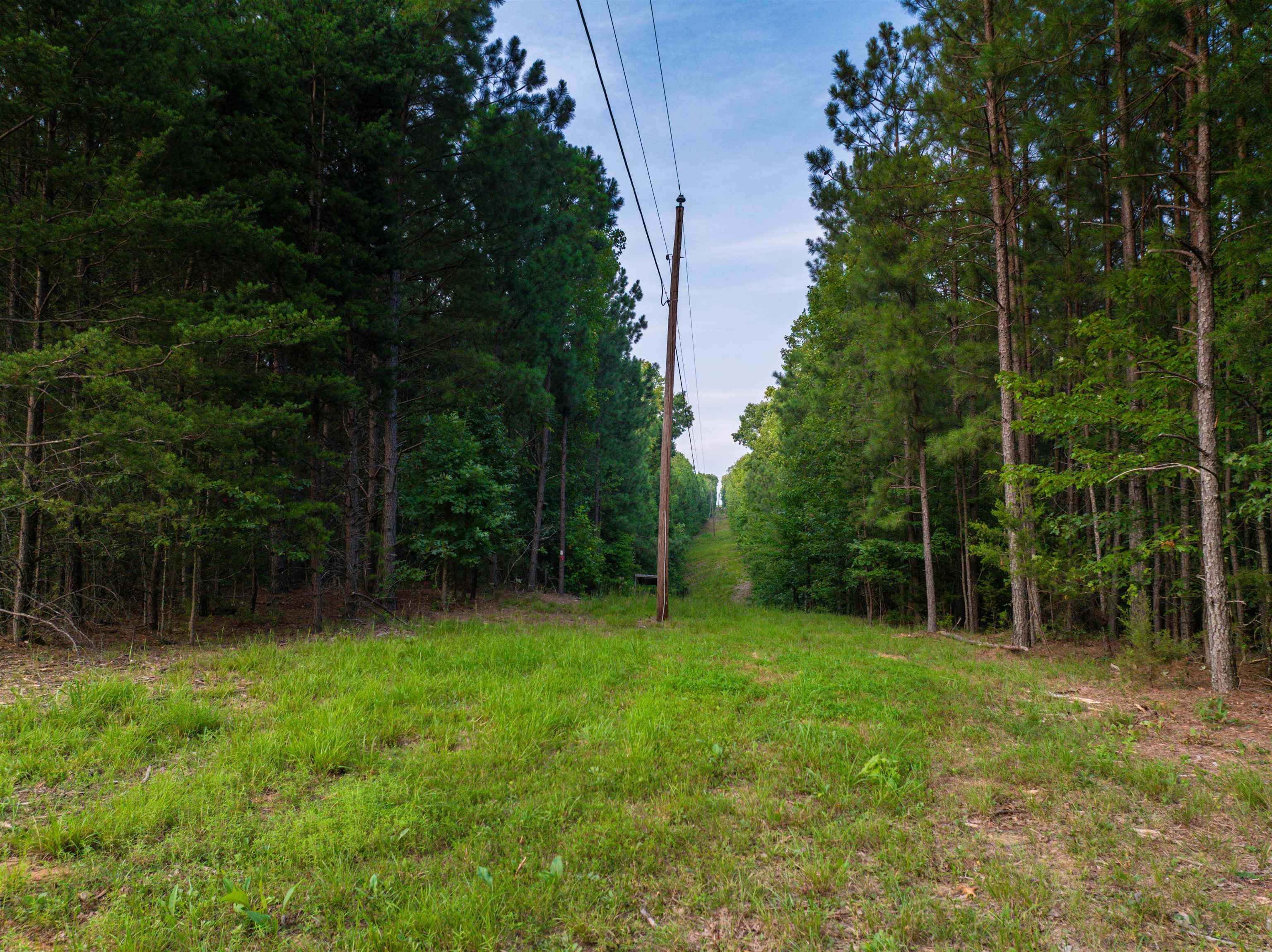 Lot B MOUNTAIN CUT RD, APPOMATTOX, Virginia 24522, ,Land,Lot B MOUNTAIN CUT RD,680745 MLS # 680745