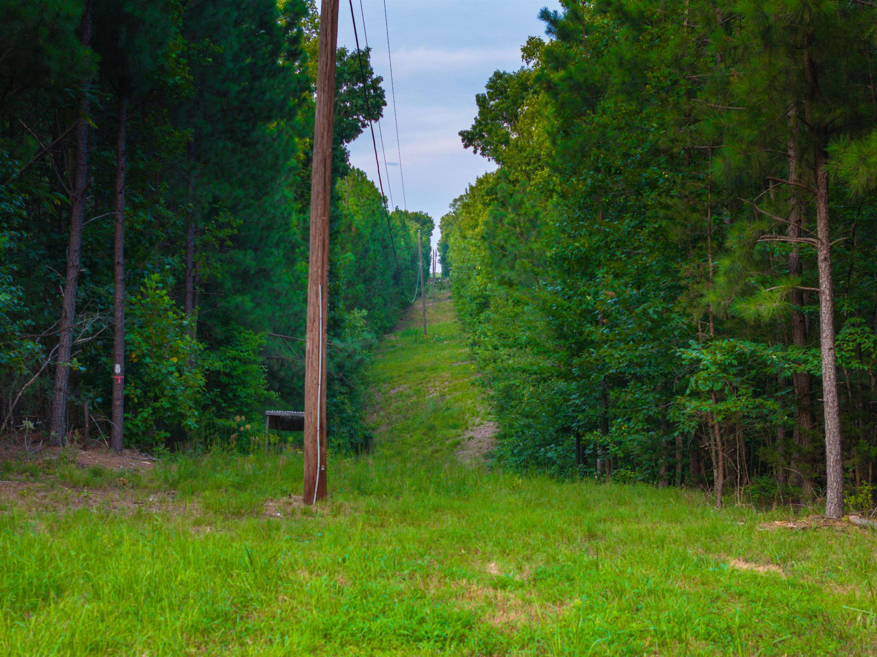 Lot B MOUNTAIN CUT RD, APPOMATTOX, Virginia 24522, ,Land,Lot B MOUNTAIN CUT RD,680745 MLS # 680745