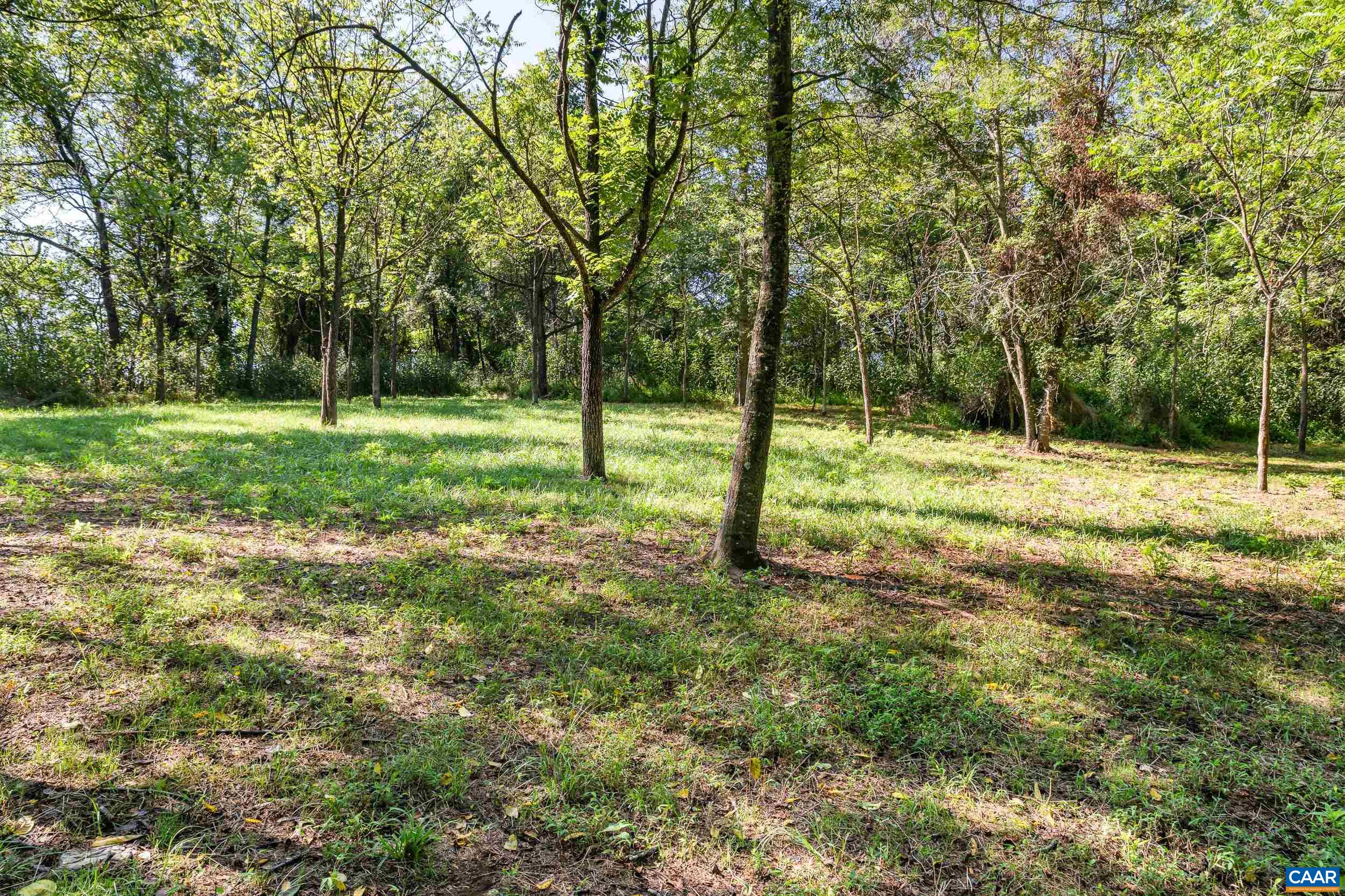 4170 LONGACRE FARM LN, CHARLOTTESVILLE, Virginia 22901, 5 Bedrooms Bedrooms, ,3 BathroomsBathrooms,Residential,Longacre Farm,4170 LONGACRE FARM LN,680636 MLS # 680636 4170 LONGACRE FARM LN, CHARLOTTESVILLE, Virginia 22901, 5 Bedrooms Bedrooms, ,3 BathroomsBathrooms,Residential,Longacre Farm,4170 LONGACRE FARM LN,680636 MLS # 680636
