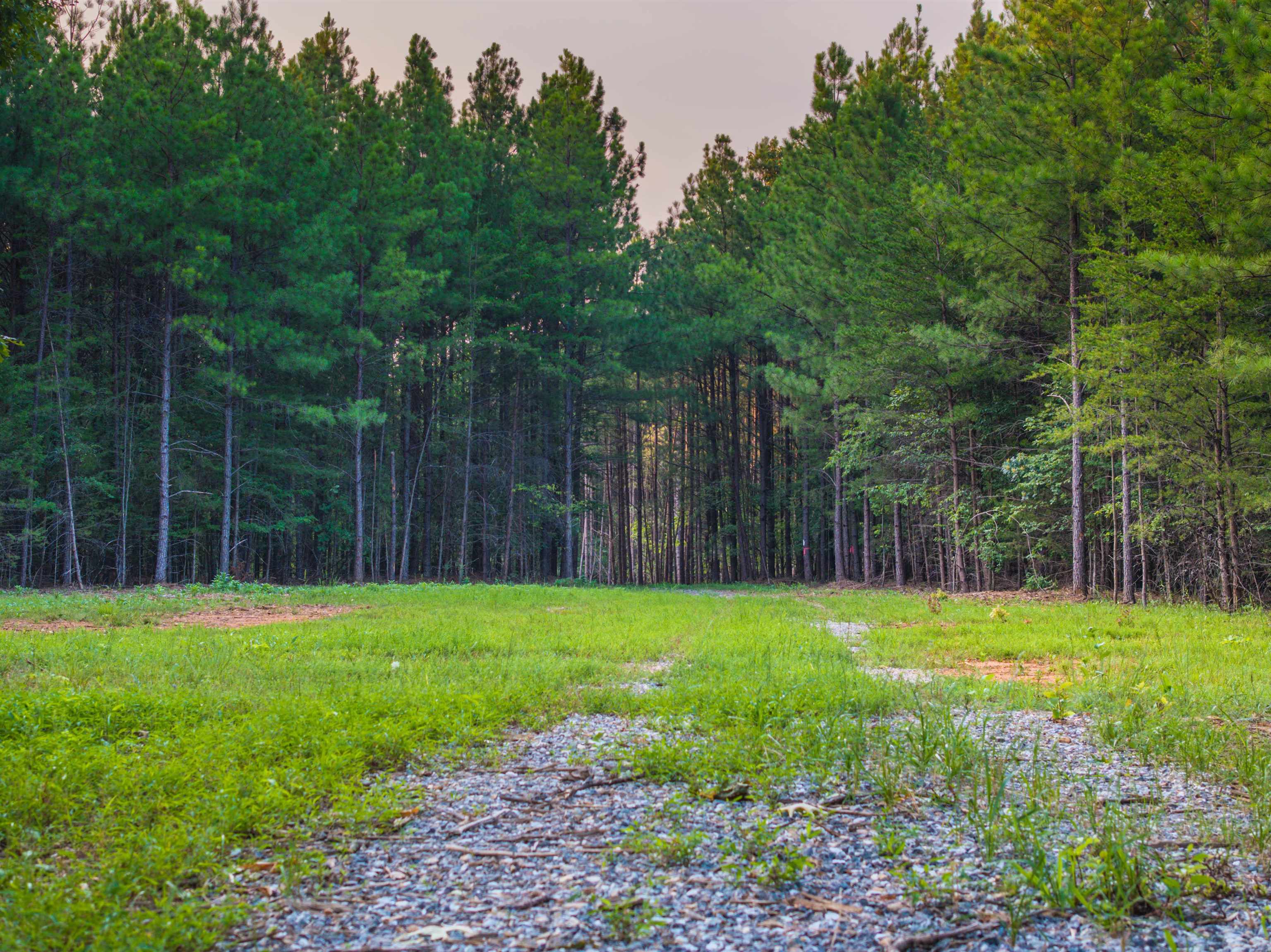 Lot A MOUNTAIN CUT RD, APPOMATTOX, Virginia 24522, ,Land,Lot A MOUNTAIN CUT RD,680750 MLS # 680750