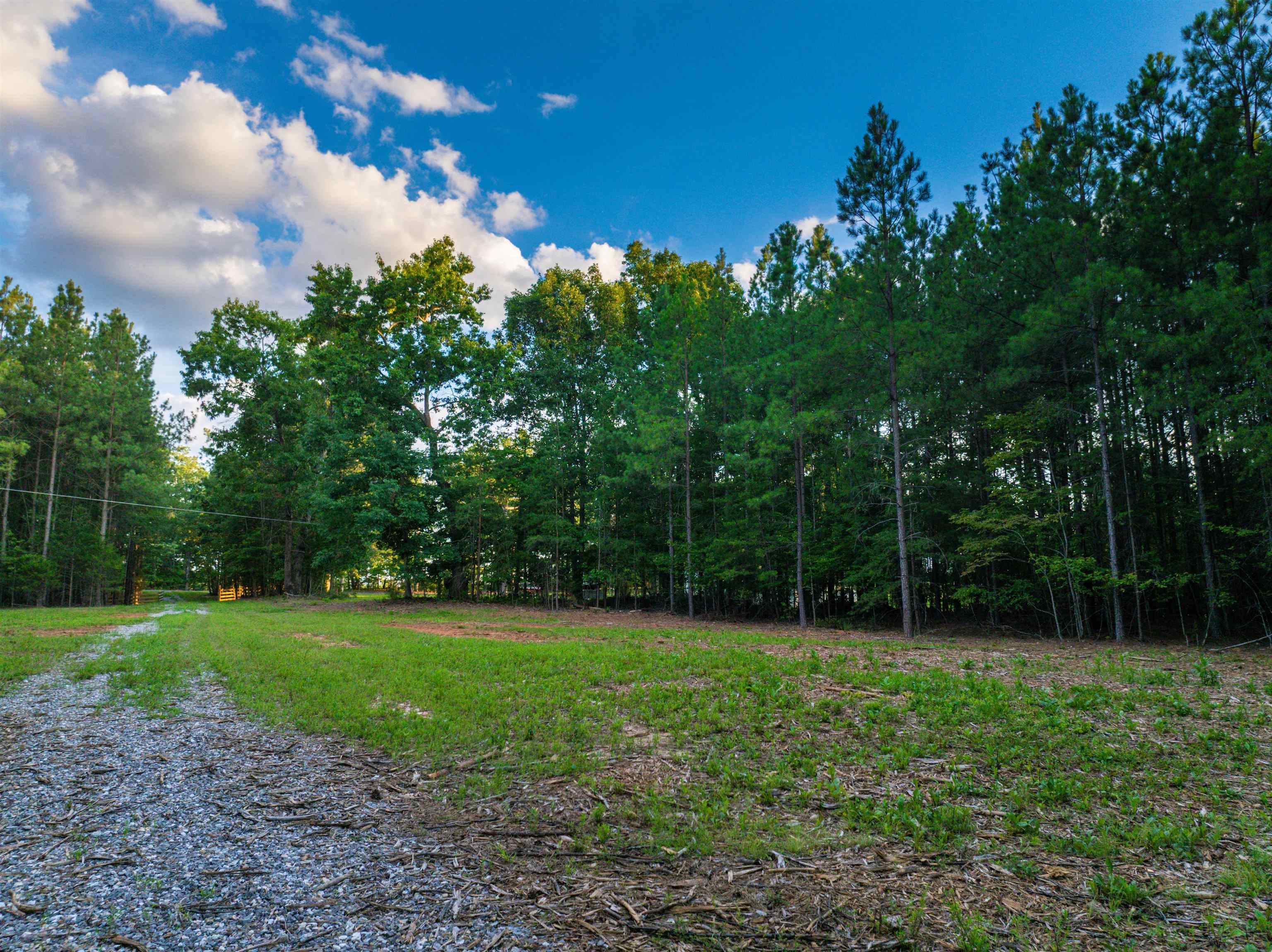 Lot A MOUNTAIN CUT RD, APPOMATTOX, Virginia 24522, ,Land,Lot A MOUNTAIN CUT RD,680750 MLS # 680750