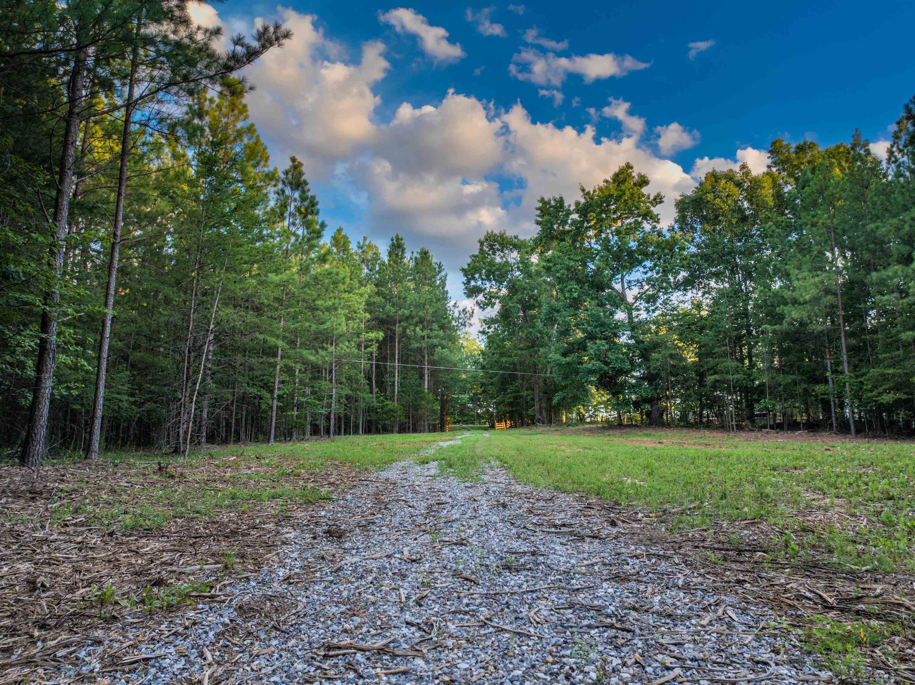 Lot A MOUNTAIN CUT RD, APPOMATTOX, Virginia 24522, ,Land,Lot A MOUNTAIN CUT RD,680750 MLS # 680750