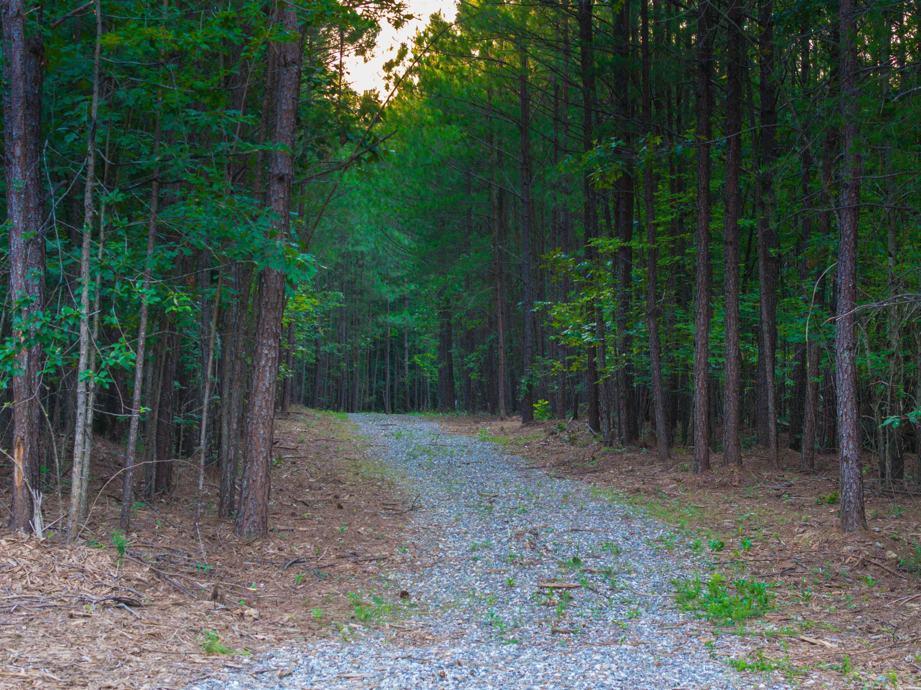 Lot A MOUNTAIN CUT RD, APPOMATTOX, Virginia 24522, ,Land,Lot A MOUNTAIN CUT RD,680750 MLS # 680750
