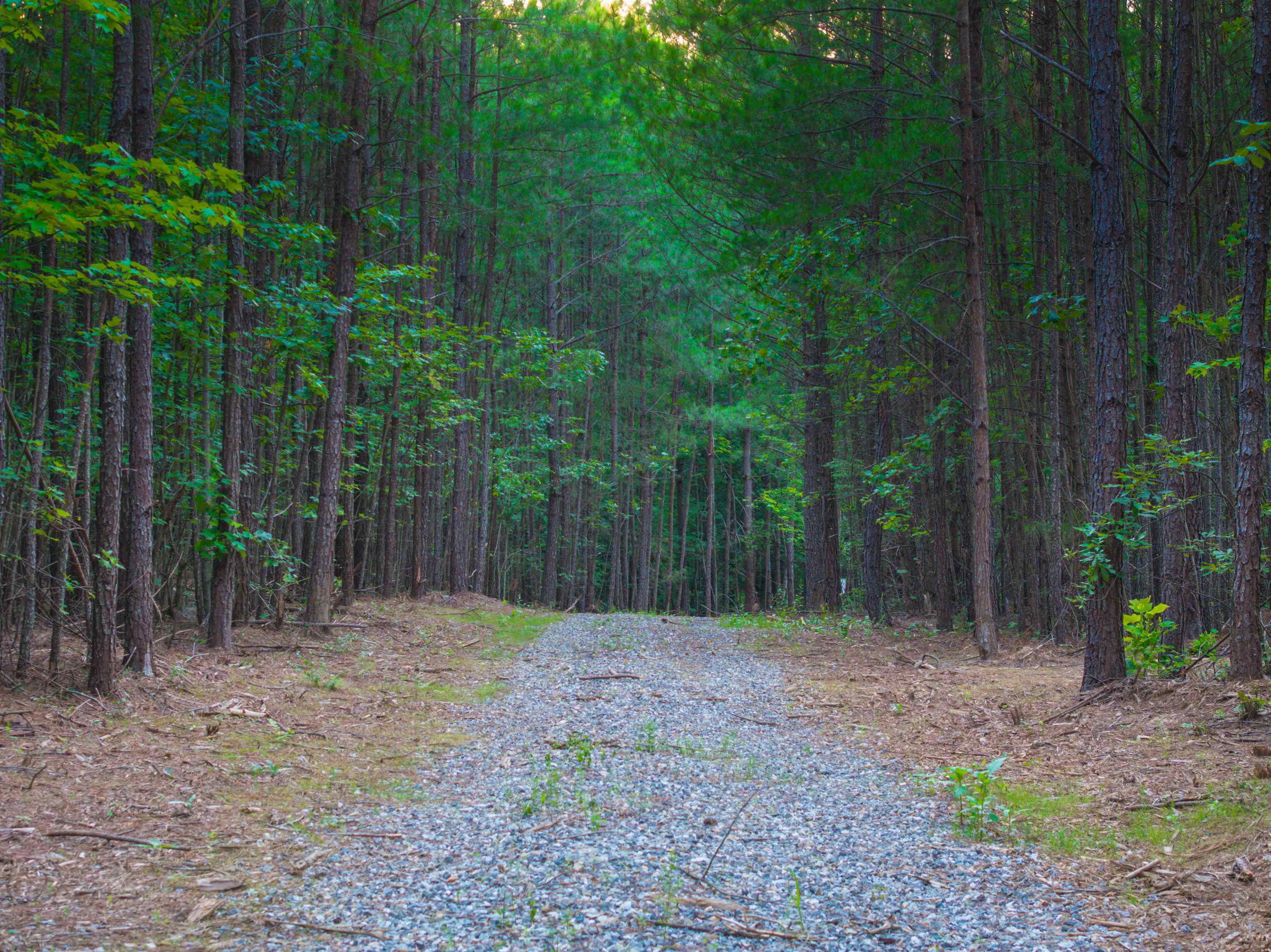Lot A MOUNTAIN CUT RD, APPOMATTOX, Virginia 24522, ,Land,Lot A MOUNTAIN CUT RD,680750 MLS # 680750