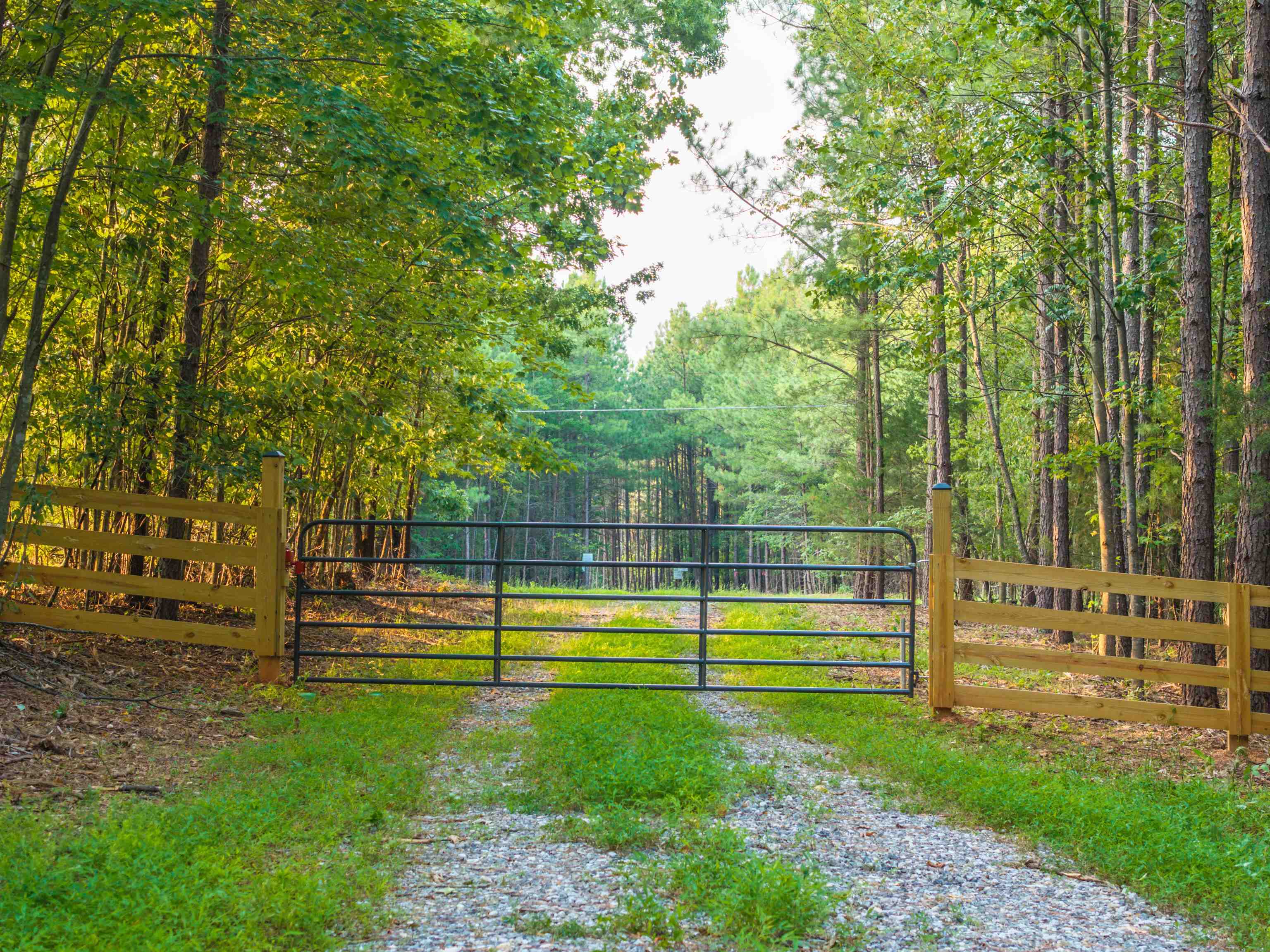 Lot A MOUNTAIN CUT RD, APPOMATTOX, Virginia 24522, ,Land,Lot A MOUNTAIN CUT RD,680750 MLS # 680750