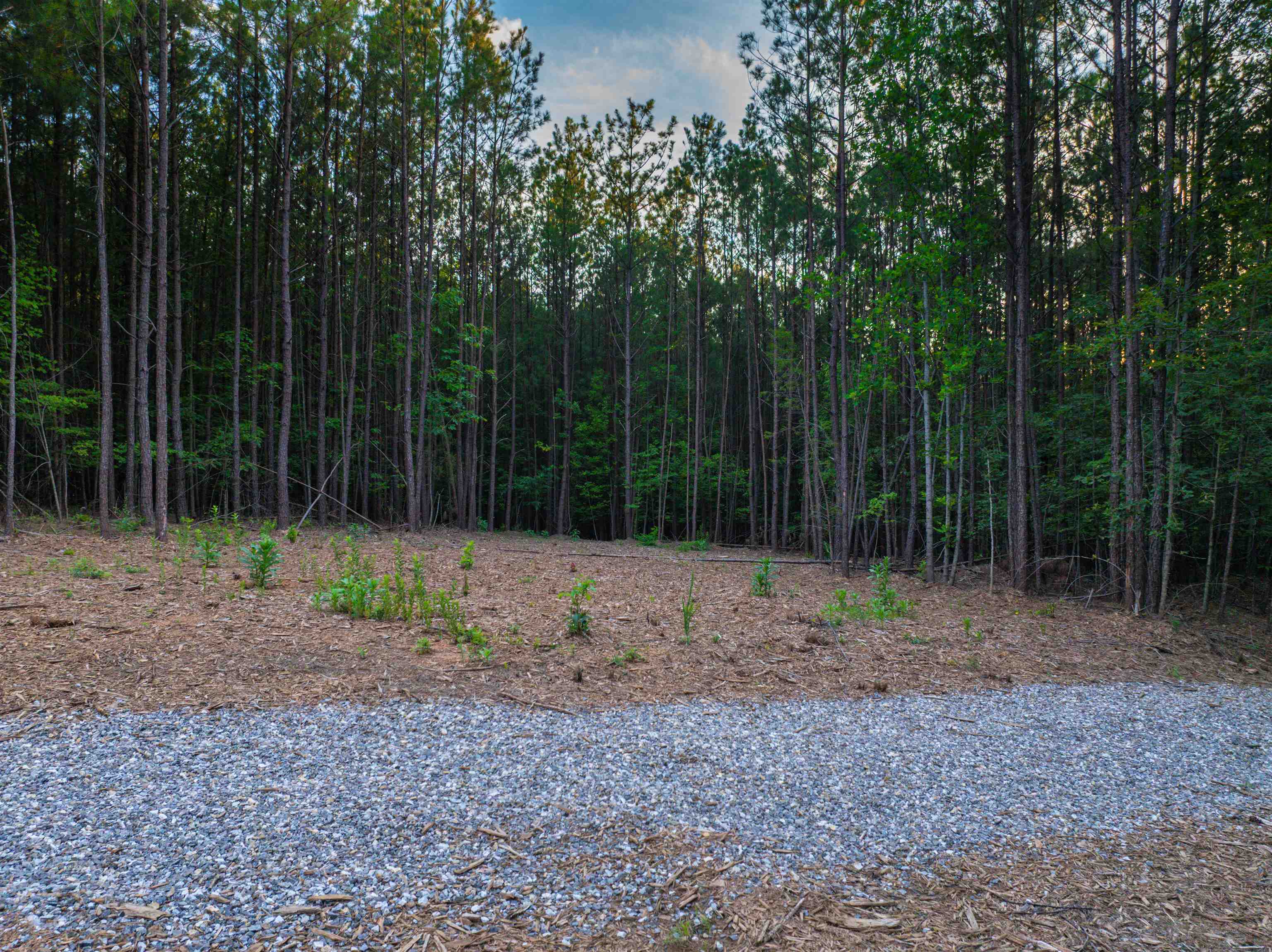Lot A MOUNTAIN CUT RD, APPOMATTOX, Virginia 24522, ,Land,Lot A MOUNTAIN CUT RD,680750 MLS # 680750