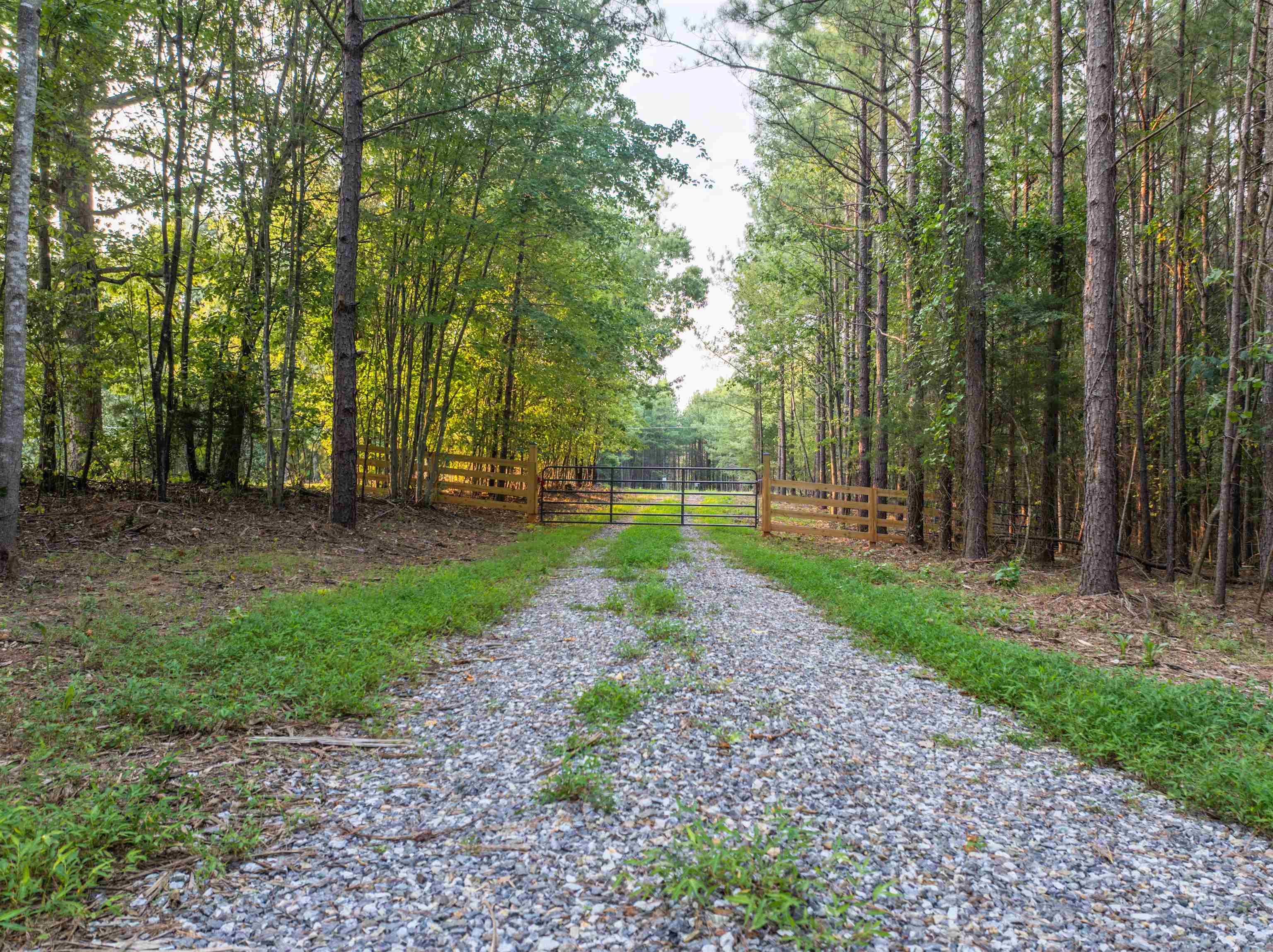 Lot A MOUNTAIN CUT RD, APPOMATTOX, Virginia 24522, ,Land,Lot A MOUNTAIN CUT RD,680750 MLS # 680750