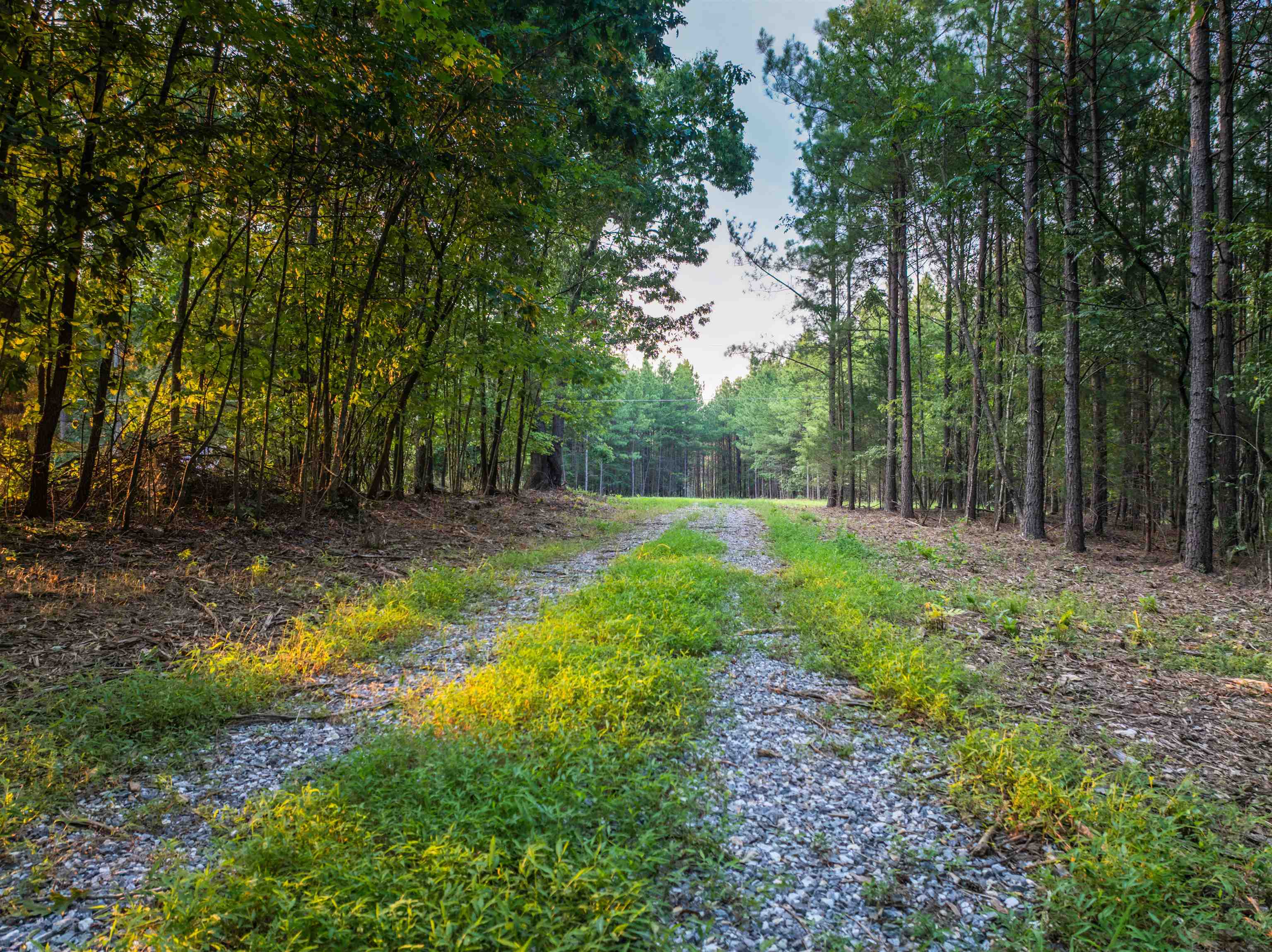 Lot A MOUNTAIN CUT RD, APPOMATTOX, Virginia 24522, ,Land,Lot A MOUNTAIN CUT RD,680750 MLS # 680750