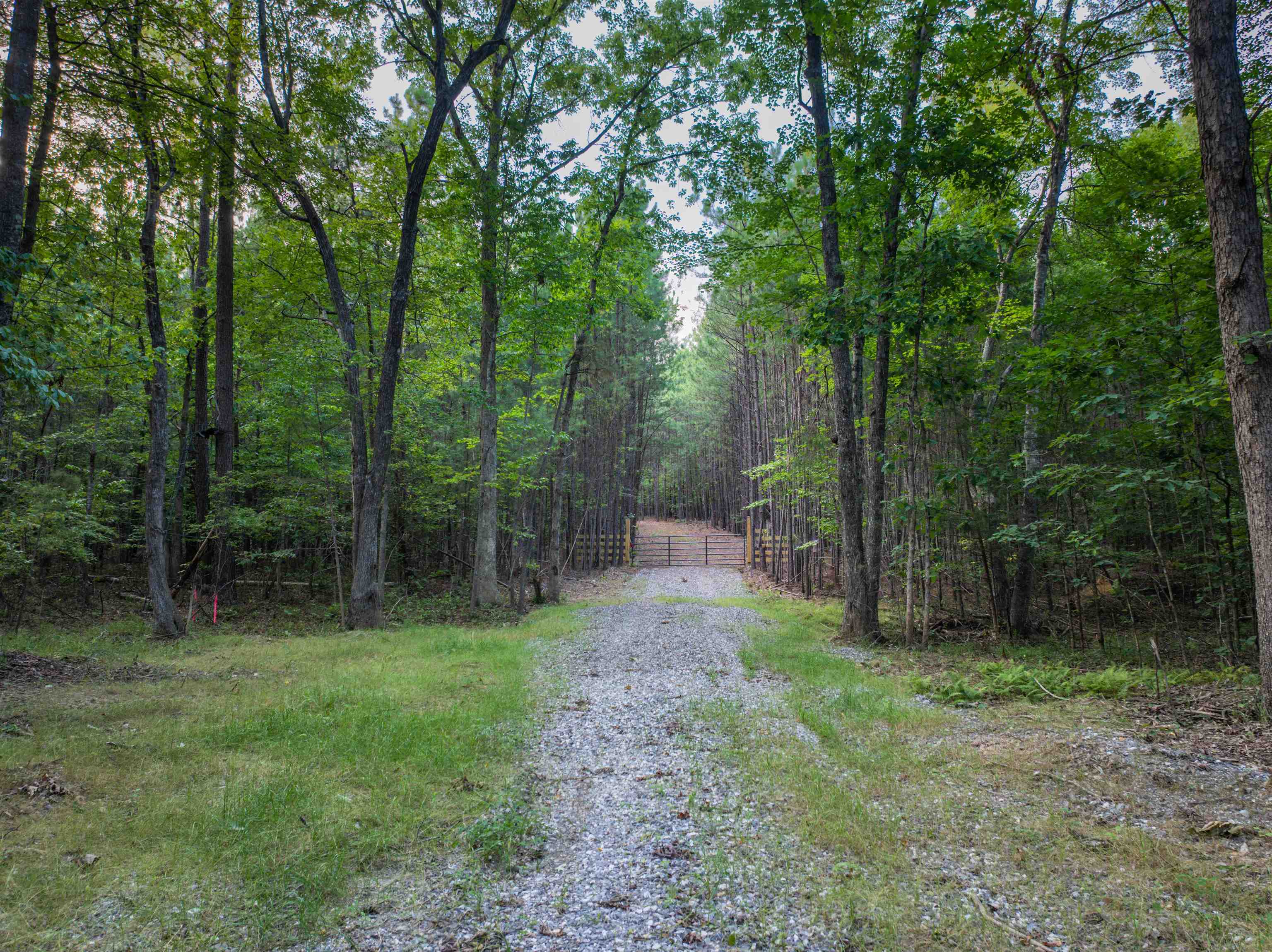 0 MOUNTAIN CUT RD, APPOMATTOX, Virginia 24522, ,Land,0 MOUNTAIN CUT RD,680751 MLS # 680751 0 MOUNTAIN CUT RD, APPOMATTOX, Virginia 24522, ,Land,0 MOUNTAIN CUT RD,680751 MLS # 680751