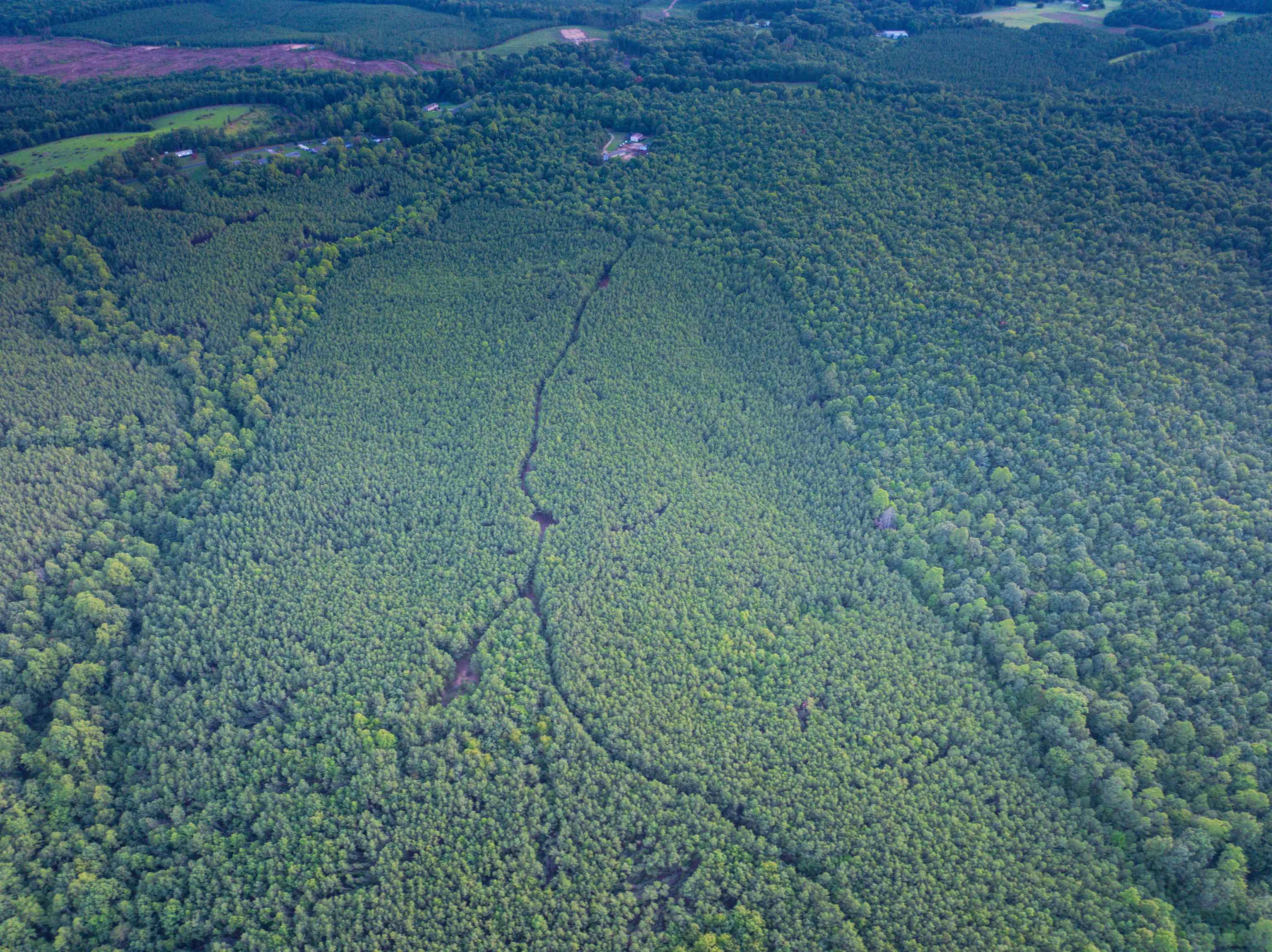 0 MOUNTAIN CUT RD, APPOMATTOX, Virginia 24522, ,Land,0 MOUNTAIN CUT RD,680751 MLS # 680751 0 MOUNTAIN CUT RD, APPOMATTOX, Virginia 24522, ,Land,0 MOUNTAIN CUT RD,680751 MLS # 680751