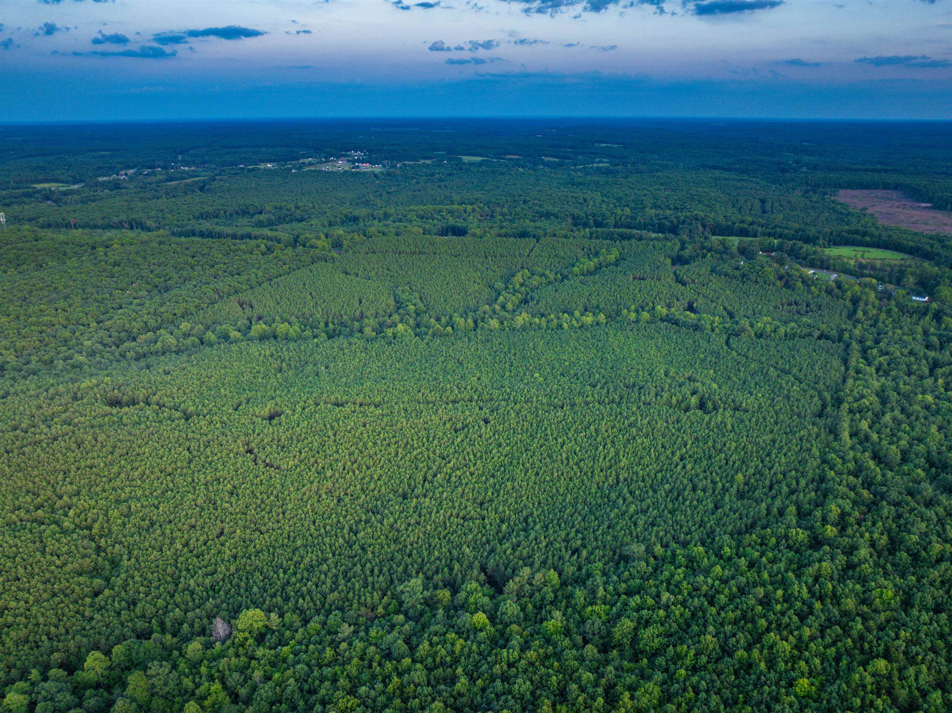 0 MOUNTAIN CUT RD, APPOMATTOX, Virginia 24522, ,Land,0 MOUNTAIN CUT RD,680751 MLS # 680751 0 MOUNTAIN CUT RD, APPOMATTOX, Virginia 24522, ,Land,0 MOUNTAIN CUT RD,680751 MLS # 680751