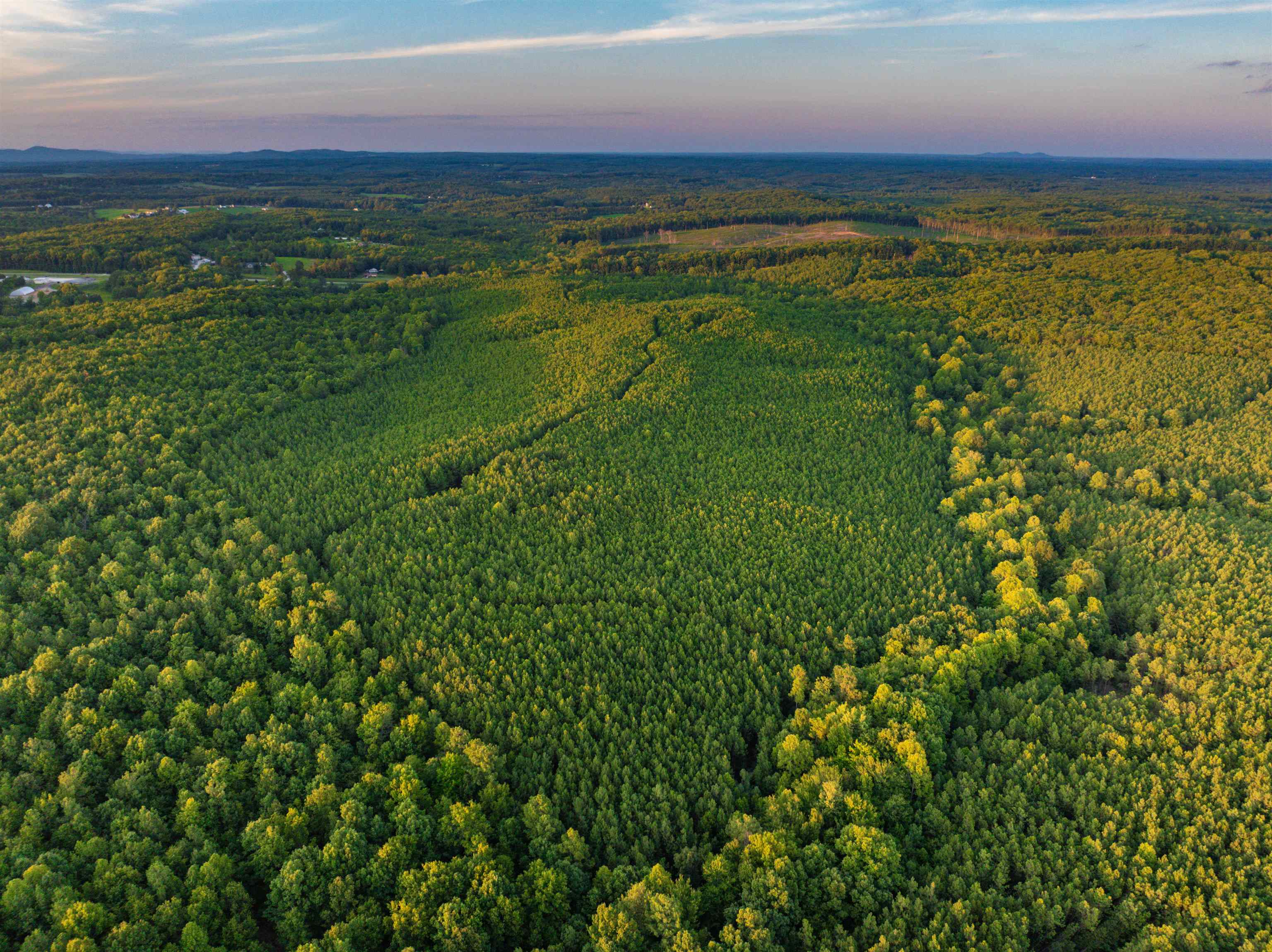0 MOUNTAIN CUT RD, APPOMATTOX, Virginia 24522, ,Land,0 MOUNTAIN CUT RD,680751 MLS # 680751 0 MOUNTAIN CUT RD, APPOMATTOX, Virginia 24522, ,Land,0 MOUNTAIN CUT RD,680751 MLS # 680751