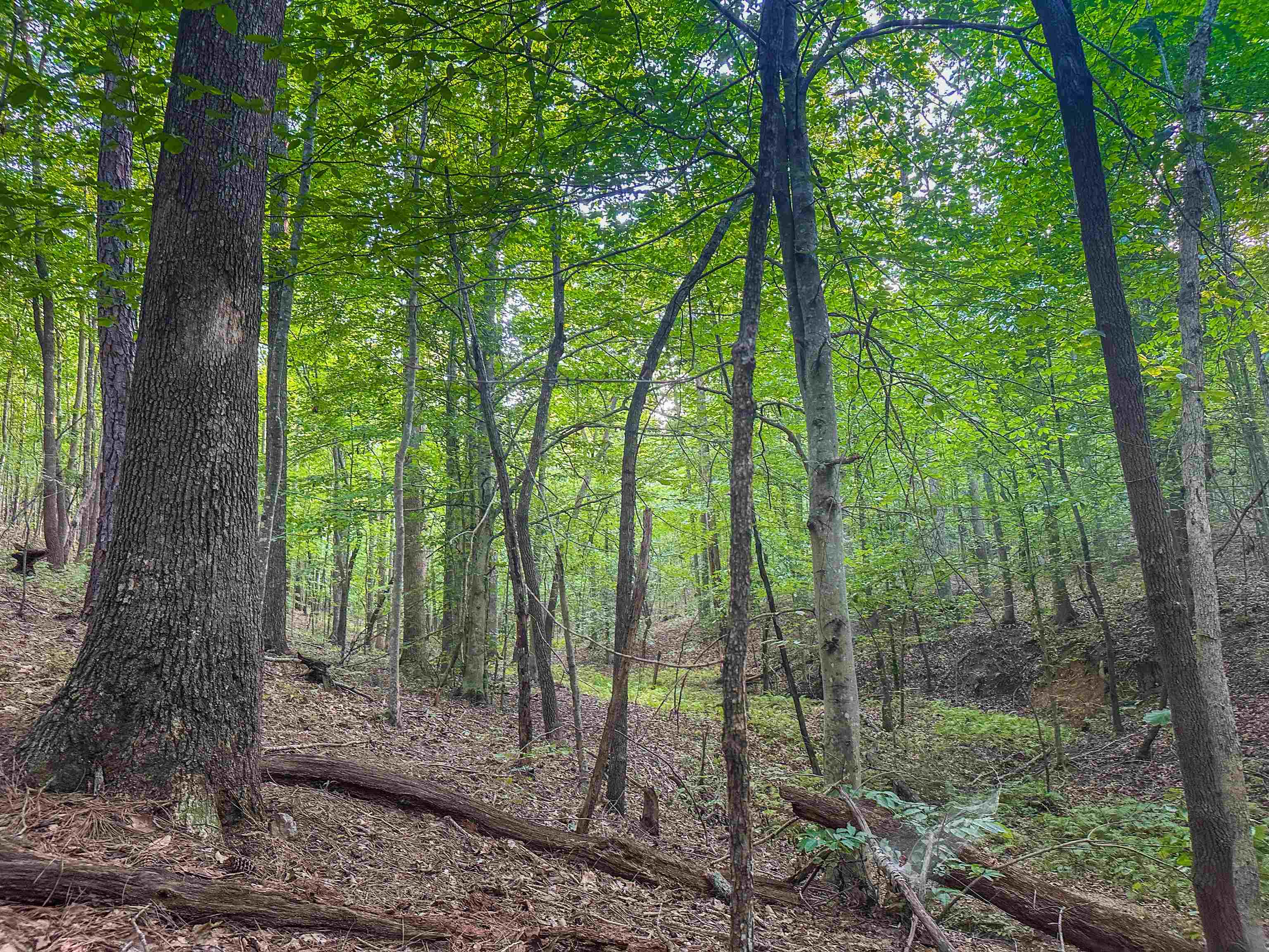 0 MOUNTAIN CUT RD, APPOMATTOX, Virginia 24522, ,Land,0 MOUNTAIN CUT RD,680751 MLS # 680751 0 MOUNTAIN CUT RD, APPOMATTOX, Virginia 24522, ,Land,0 MOUNTAIN CUT RD,680751 MLS # 680751