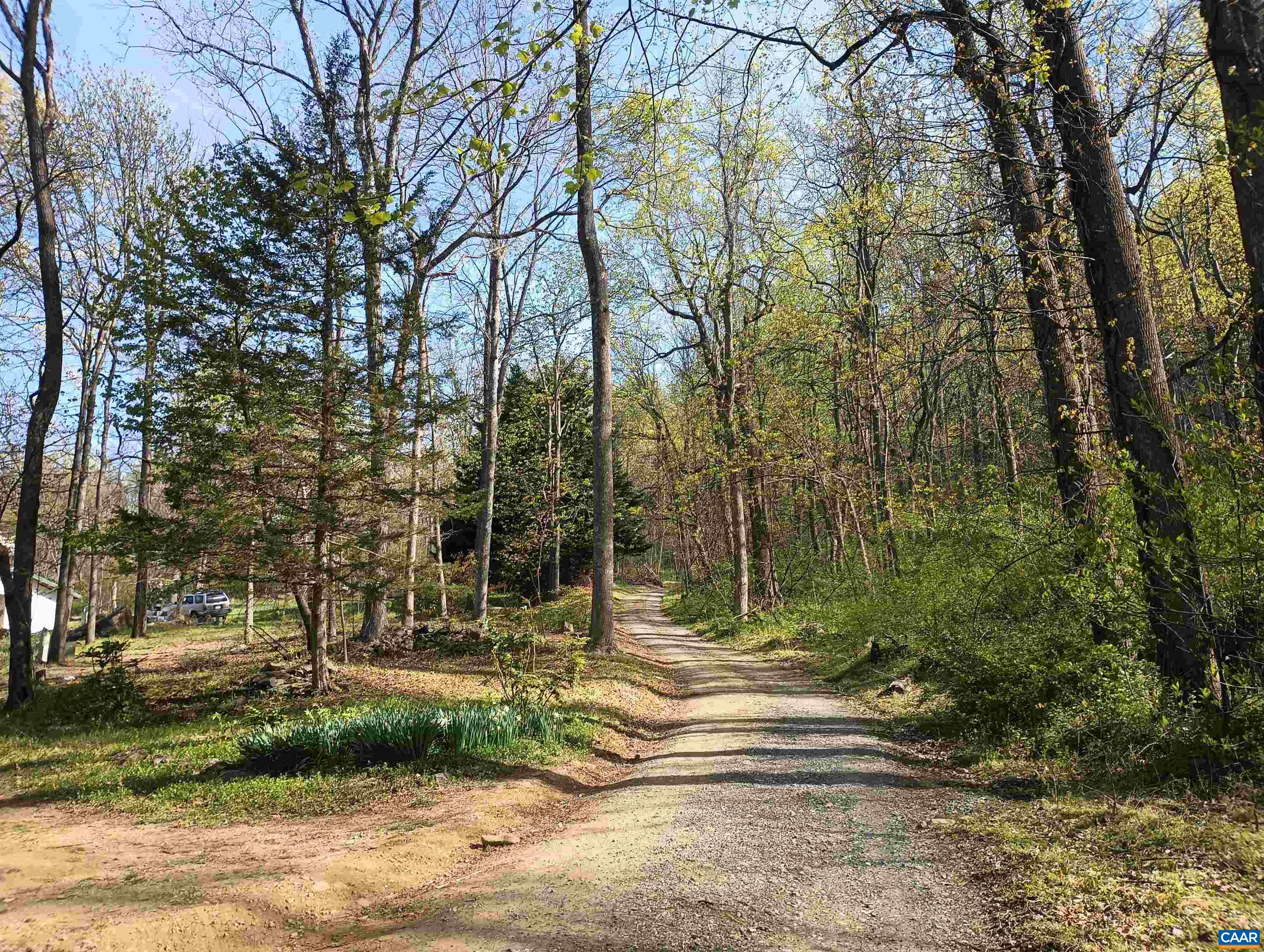 989 BATTERY HILL LN, TYRO, Virginia 22976, 2 Bedrooms Bedrooms, ,1 BathroomBathrooms,Residential,989 BATTERY HILL LN,680752 MLS # 680752 989 BATTERY HILL LN, TYRO, Virginia 22976, 2 Bedrooms Bedrooms, ,1 BathroomBathrooms,Residential,989 BATTERY HILL LN,680752 MLS # 680752