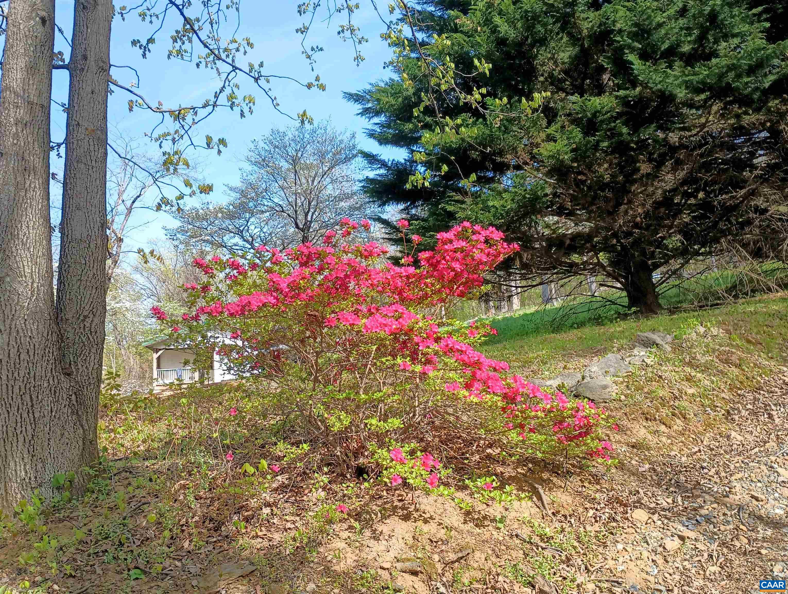 989 BATTERY HILL LN, TYRO, Virginia 22976, 2 Bedrooms Bedrooms, ,1 BathroomBathrooms,Residential,989 BATTERY HILL LN,680752 MLS # 680752 989 BATTERY HILL LN, TYRO, Virginia 22976, 2 Bedrooms Bedrooms, ,1 BathroomBathrooms,Residential,989 BATTERY HILL LN,680752 MLS # 680752